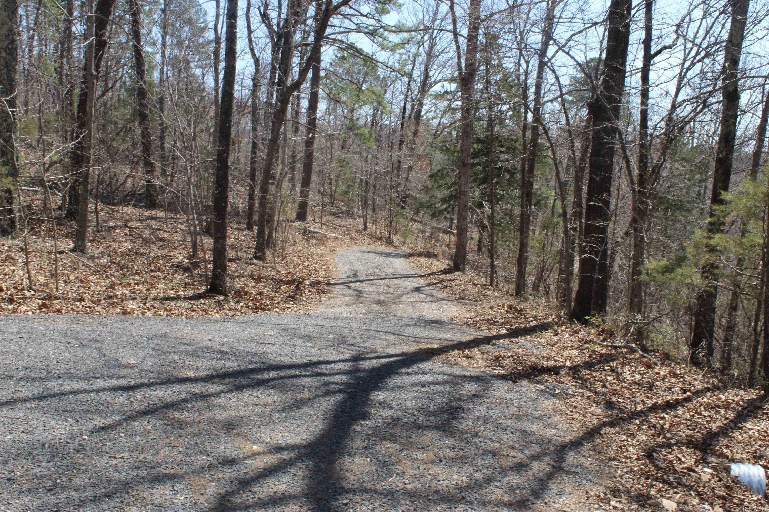 744 Spring Creek Road  Harriet, AR