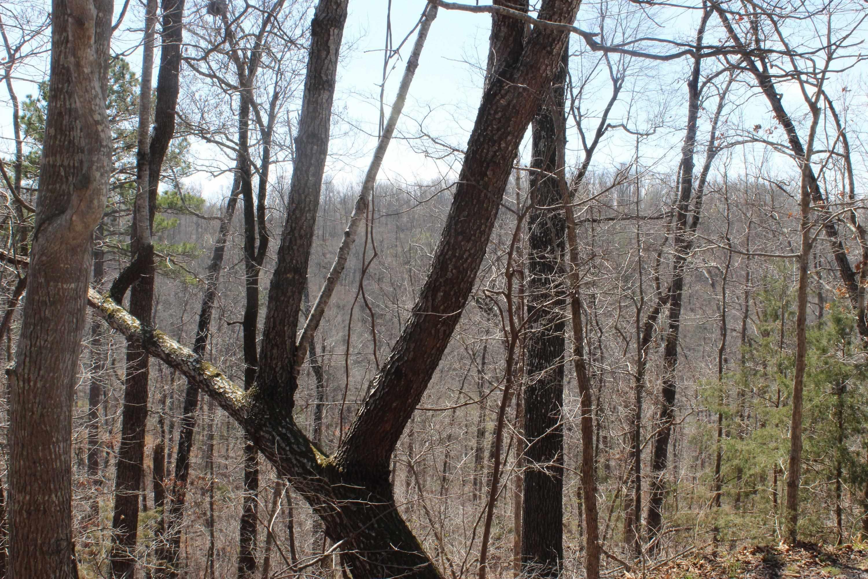 744 Spring Creek Road  Harriet, AR