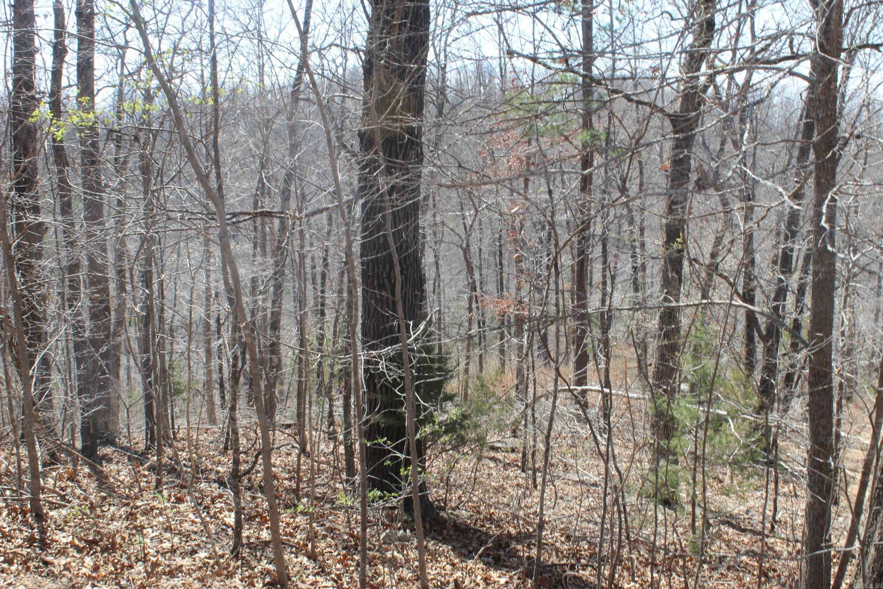 744 Spring Creek Road  Harriet, AR