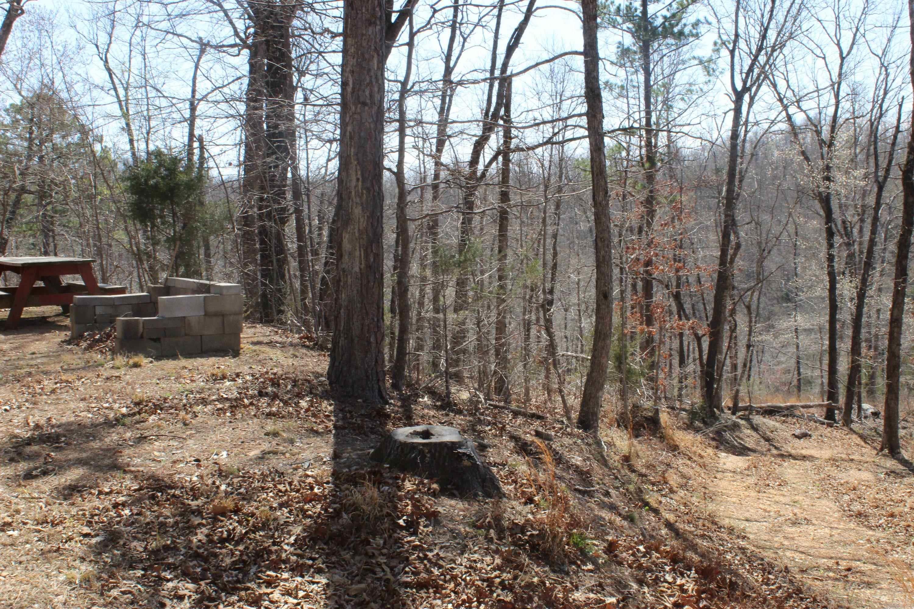 744 Spring Creek Road  Harriet, AR