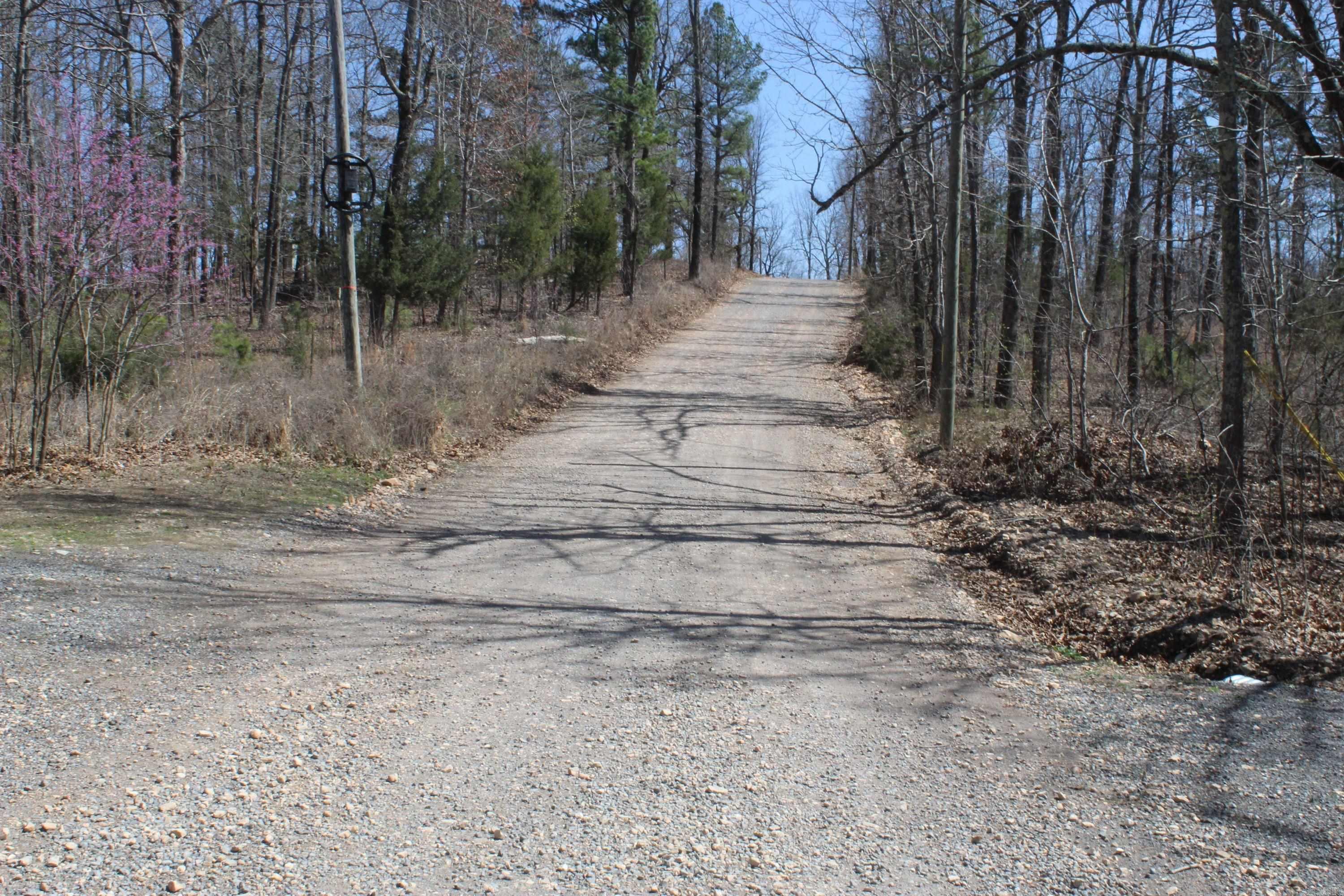 744 Spring Creek Road  Harriet, AR