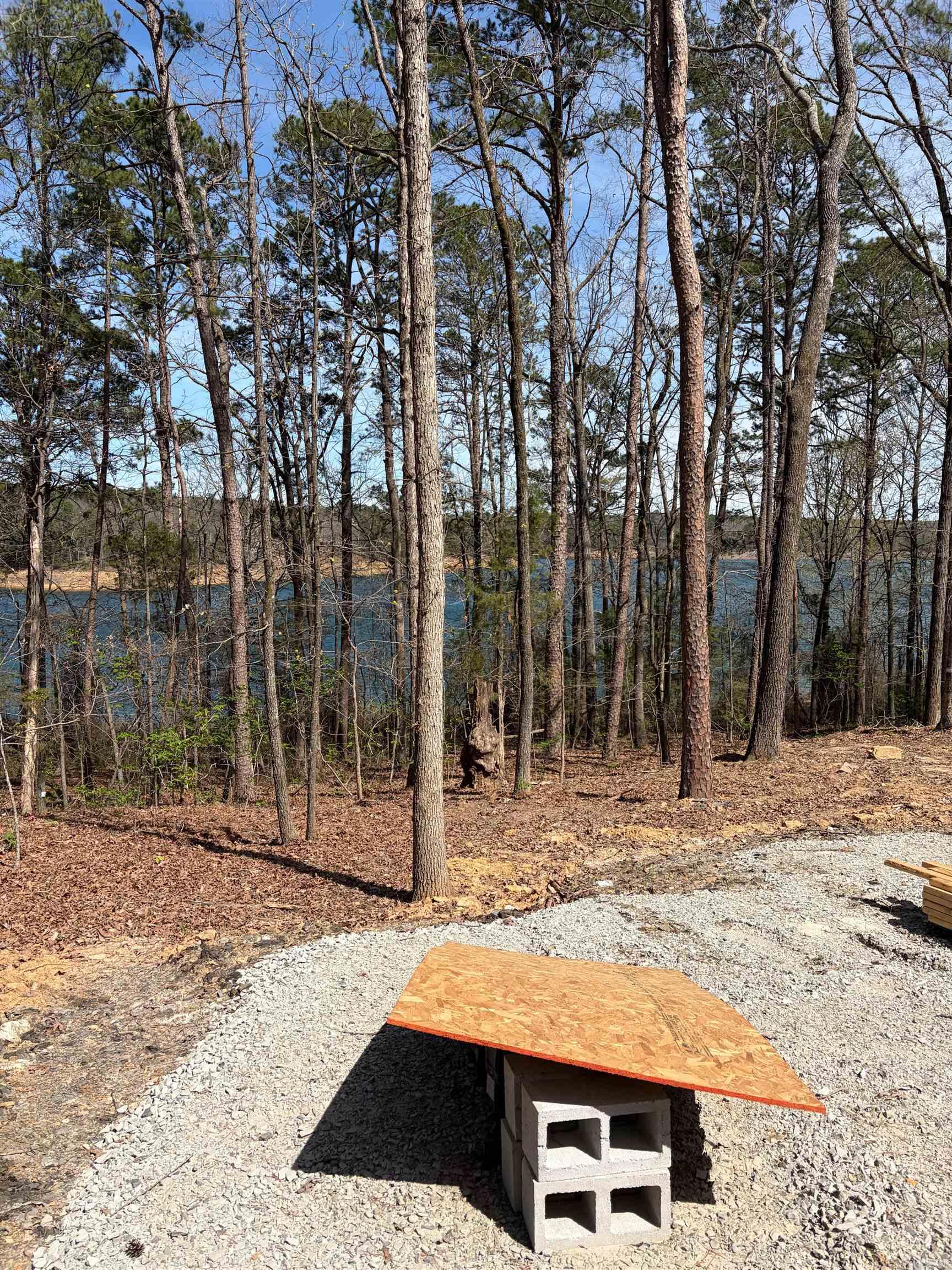 35 Parrott Point  Drasco, AR