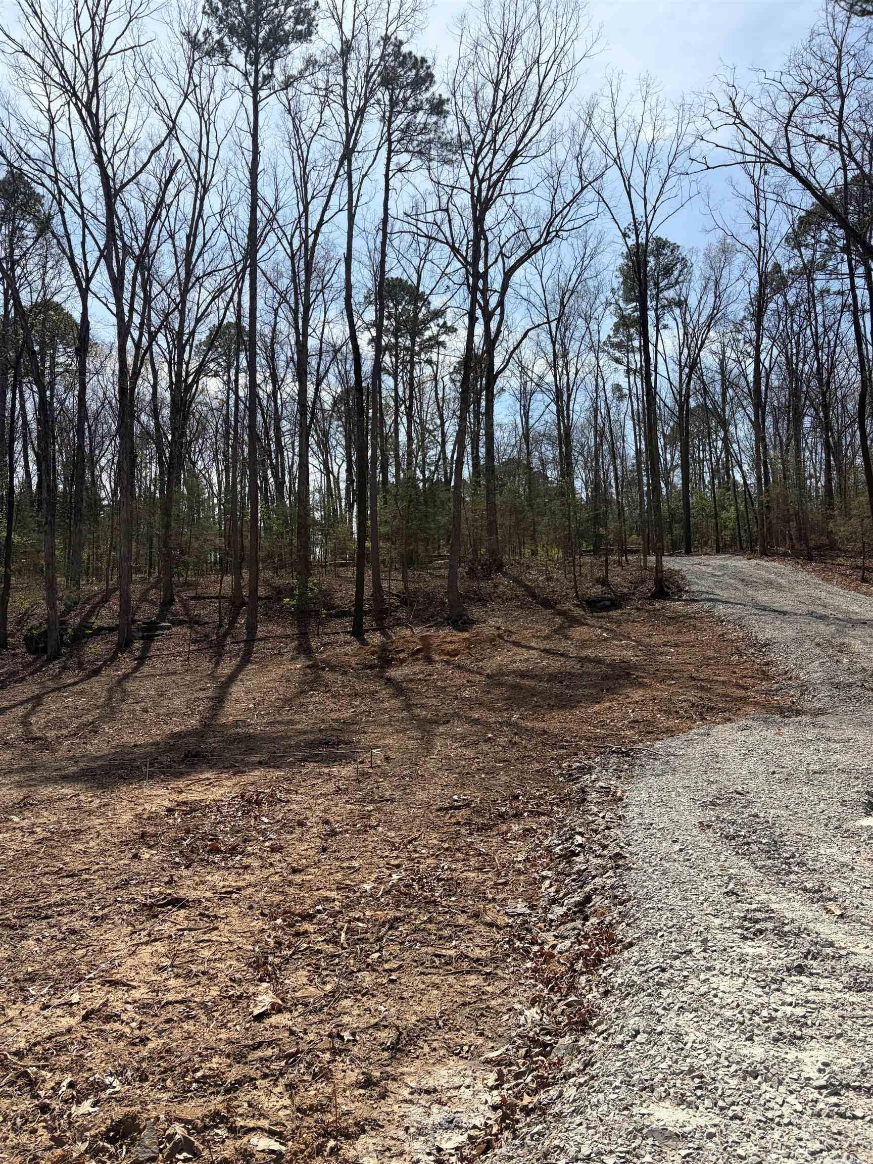 35 Parrott Point  Drasco, AR