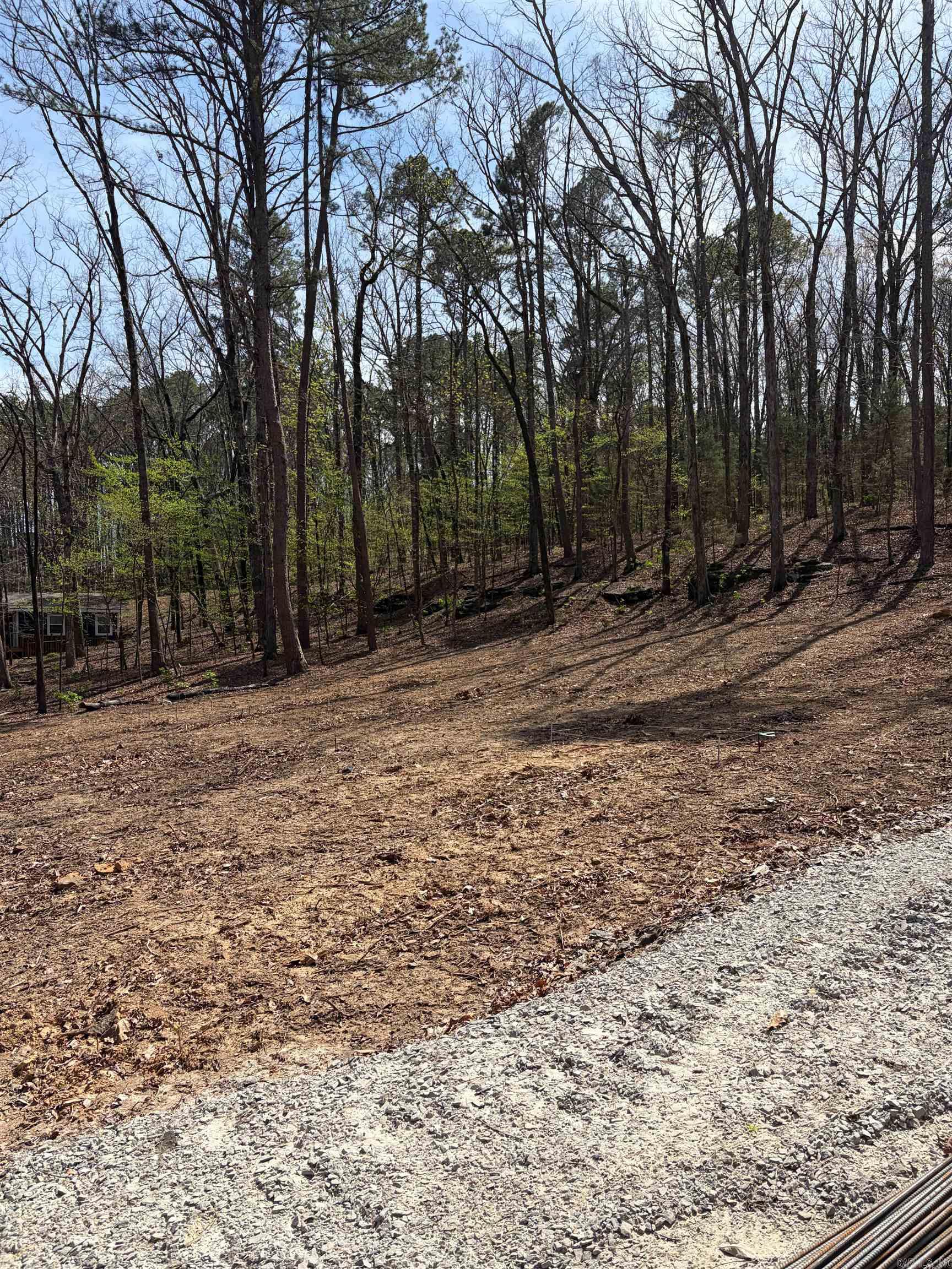 35 Parrott Point  Drasco, AR