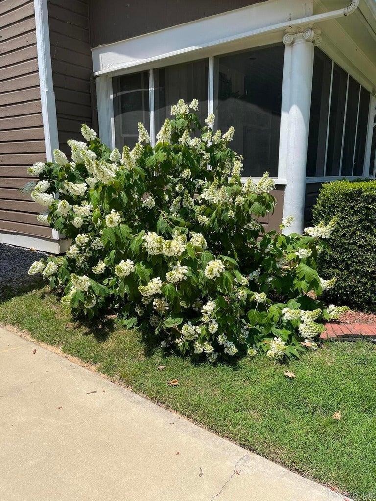 253 N 8th  Batesville, AR