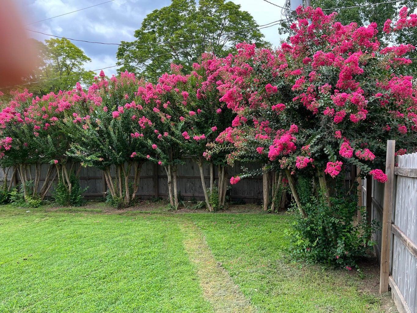 253 N 8th  Batesville, AR