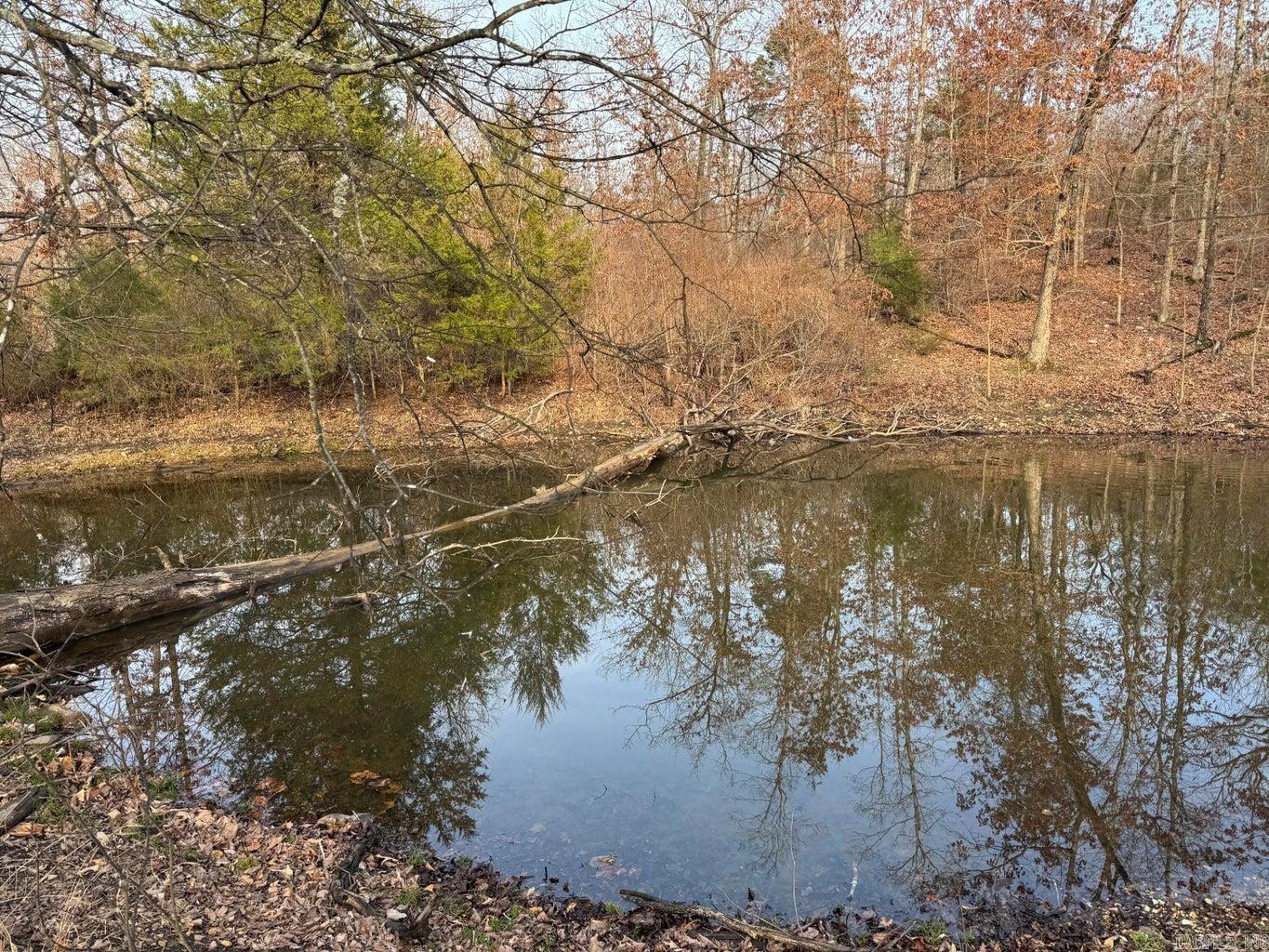 0 Arnhart  Ash Flat, AR