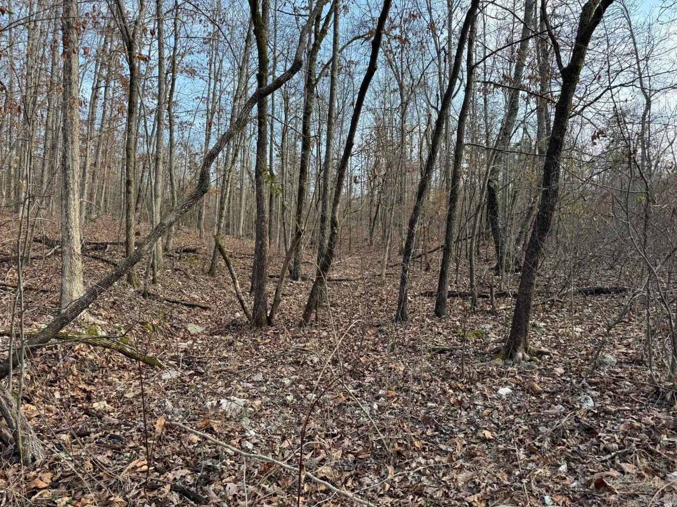 0 Arnhart  Ash Flat, AR