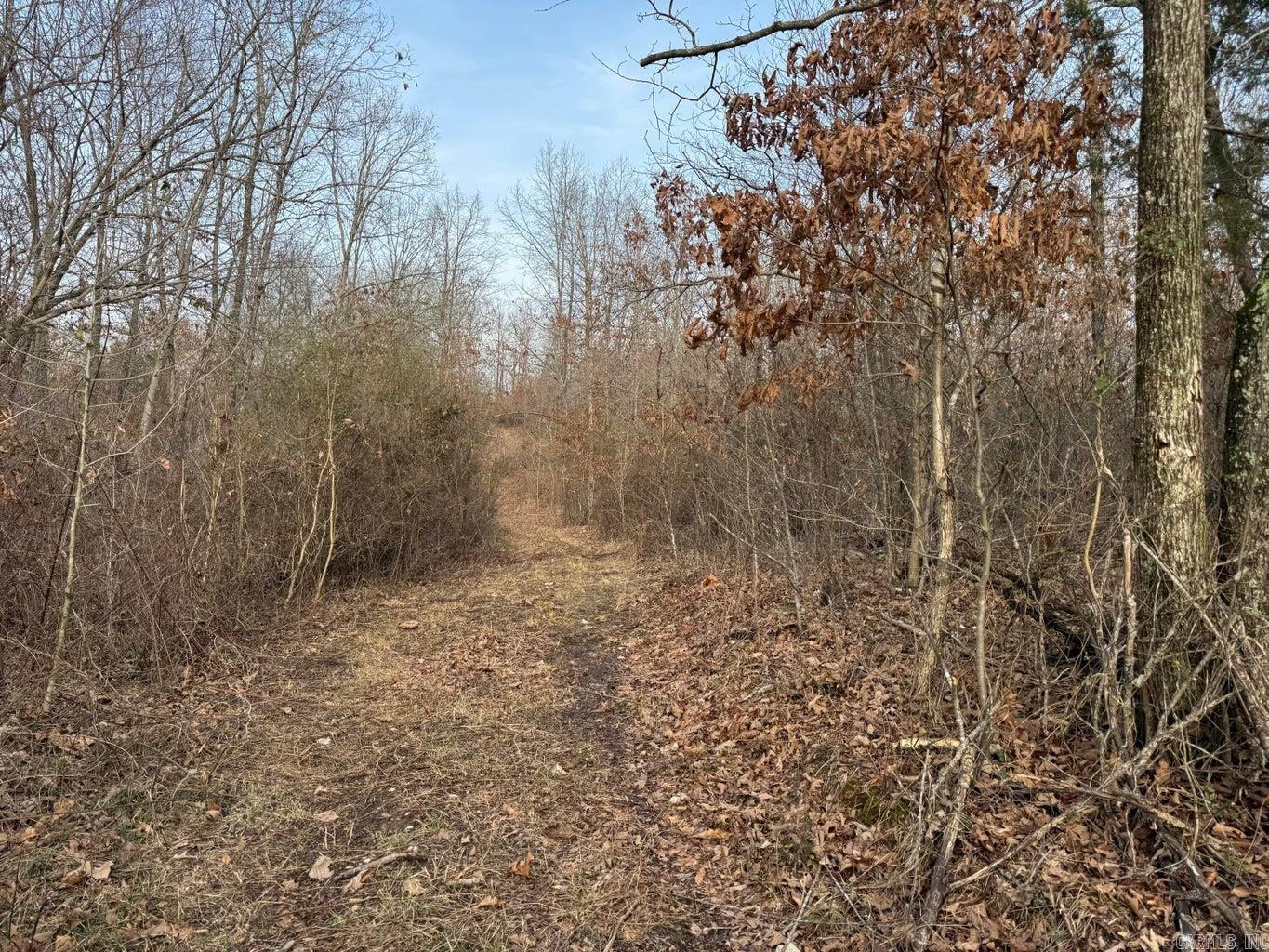 0 Arnhart  Ash Flat, AR