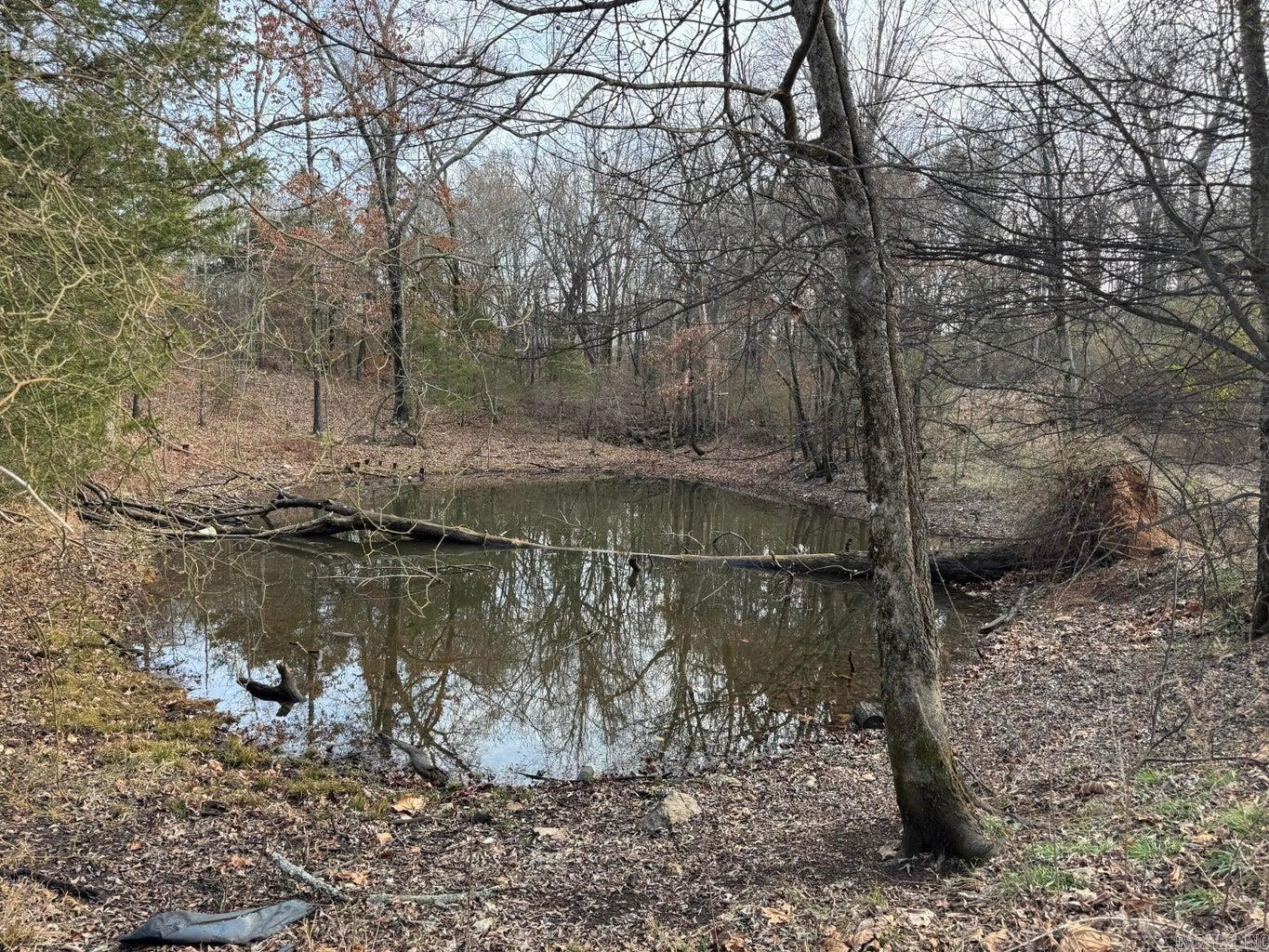 0 Arnhart  Ash Flat, AR