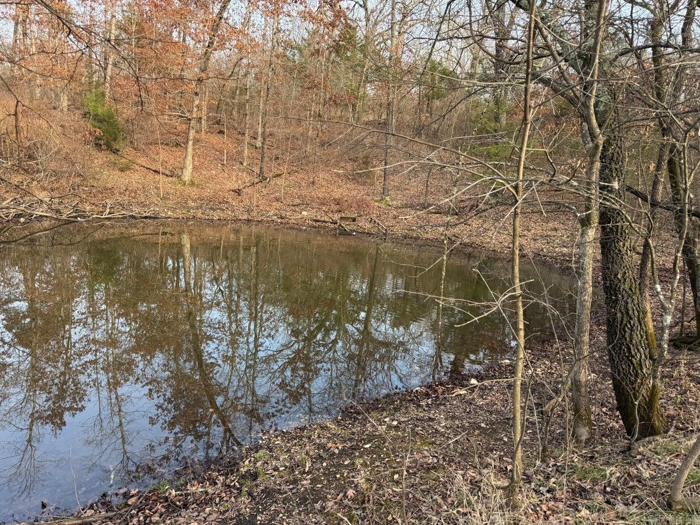 0 Arnhart  Ash Flat, AR