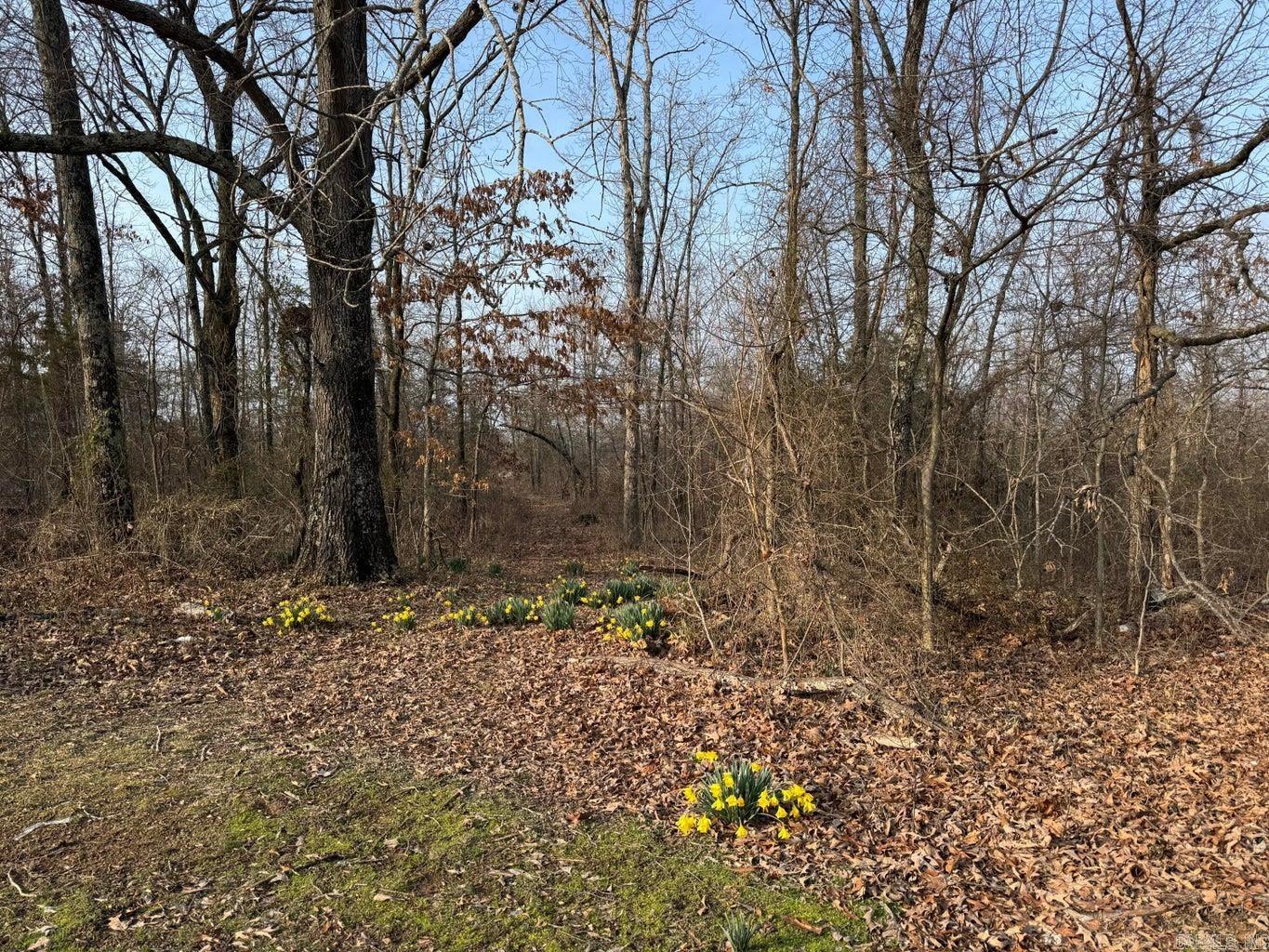 0 Sundown  Highland, AR