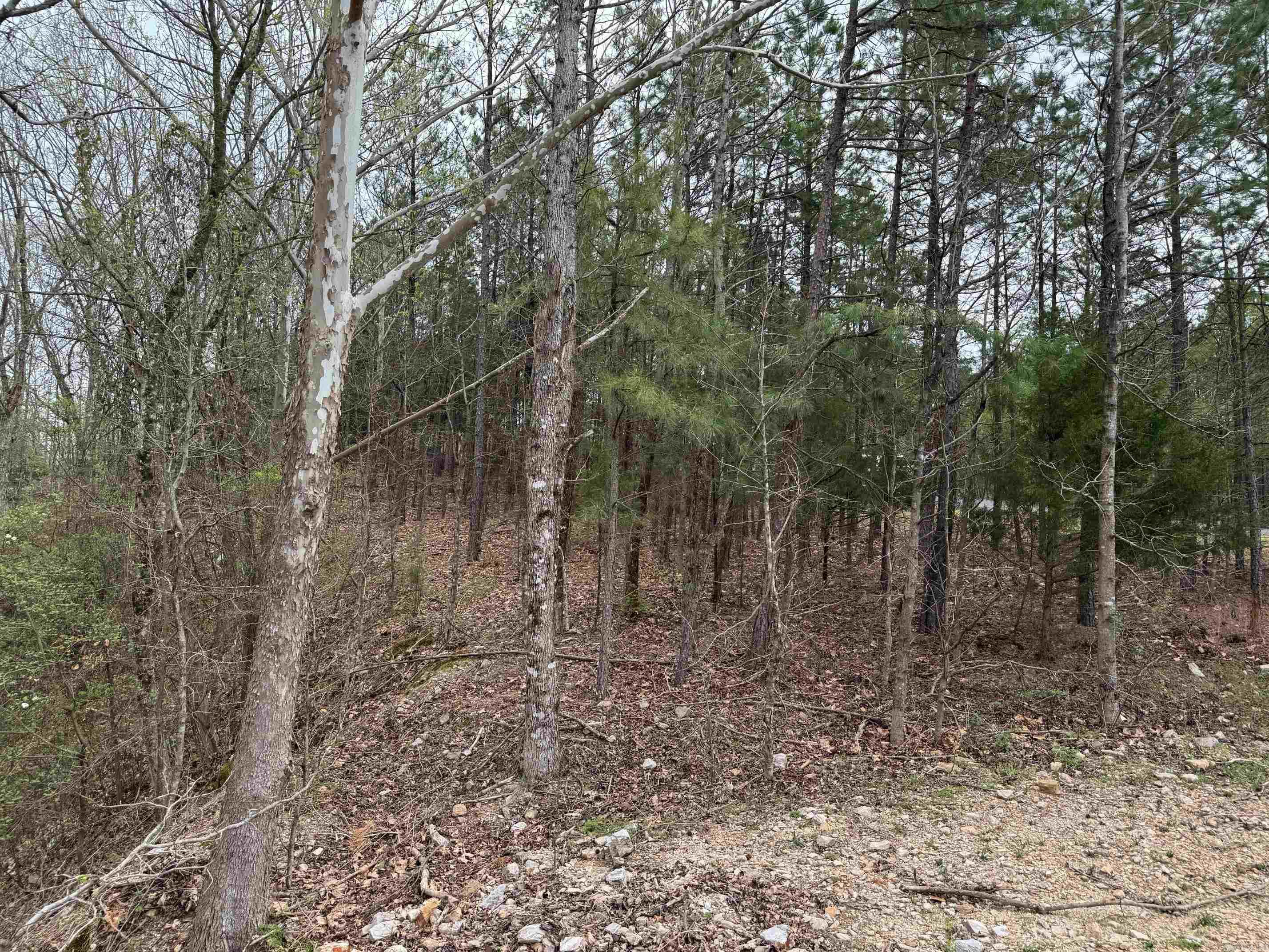 7 MORENO WAY  Hot Springs Village, AR