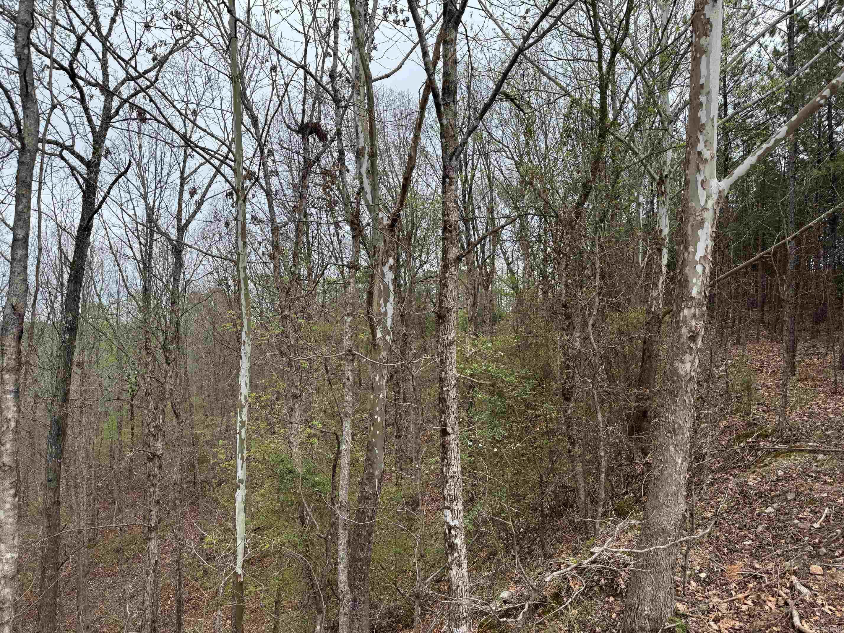 7 MORENO WAY  Hot Springs Village, AR