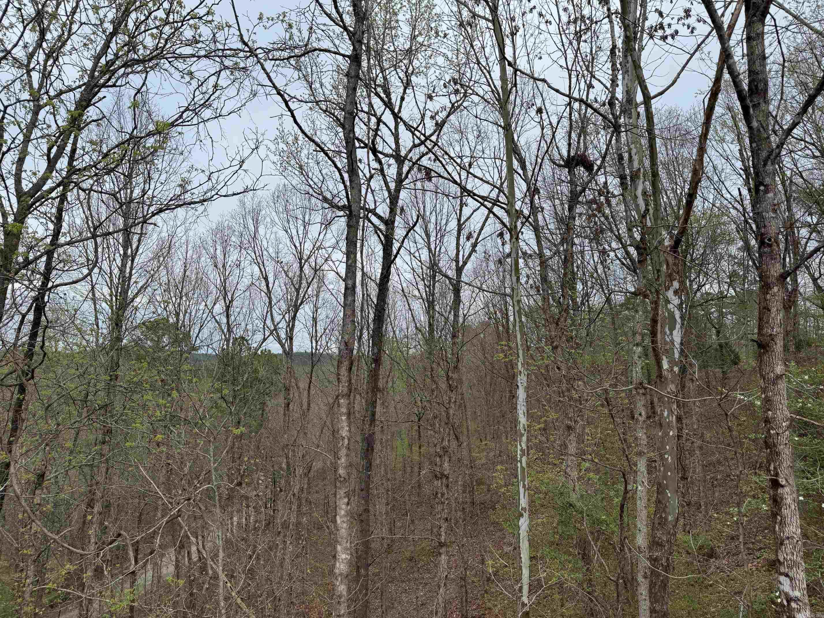 7 MORENO WAY  Hot Springs Village, AR