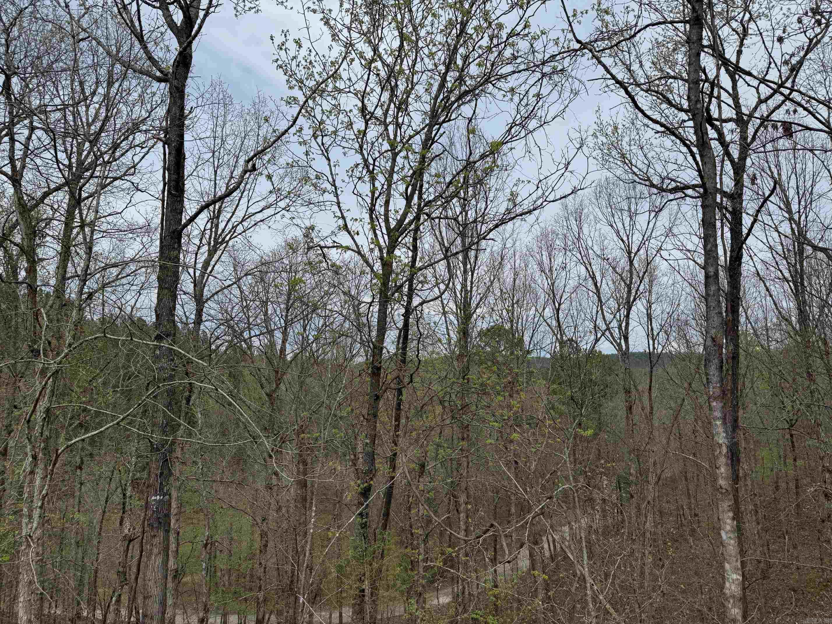 7 MORENO WAY  Hot Springs Village, AR