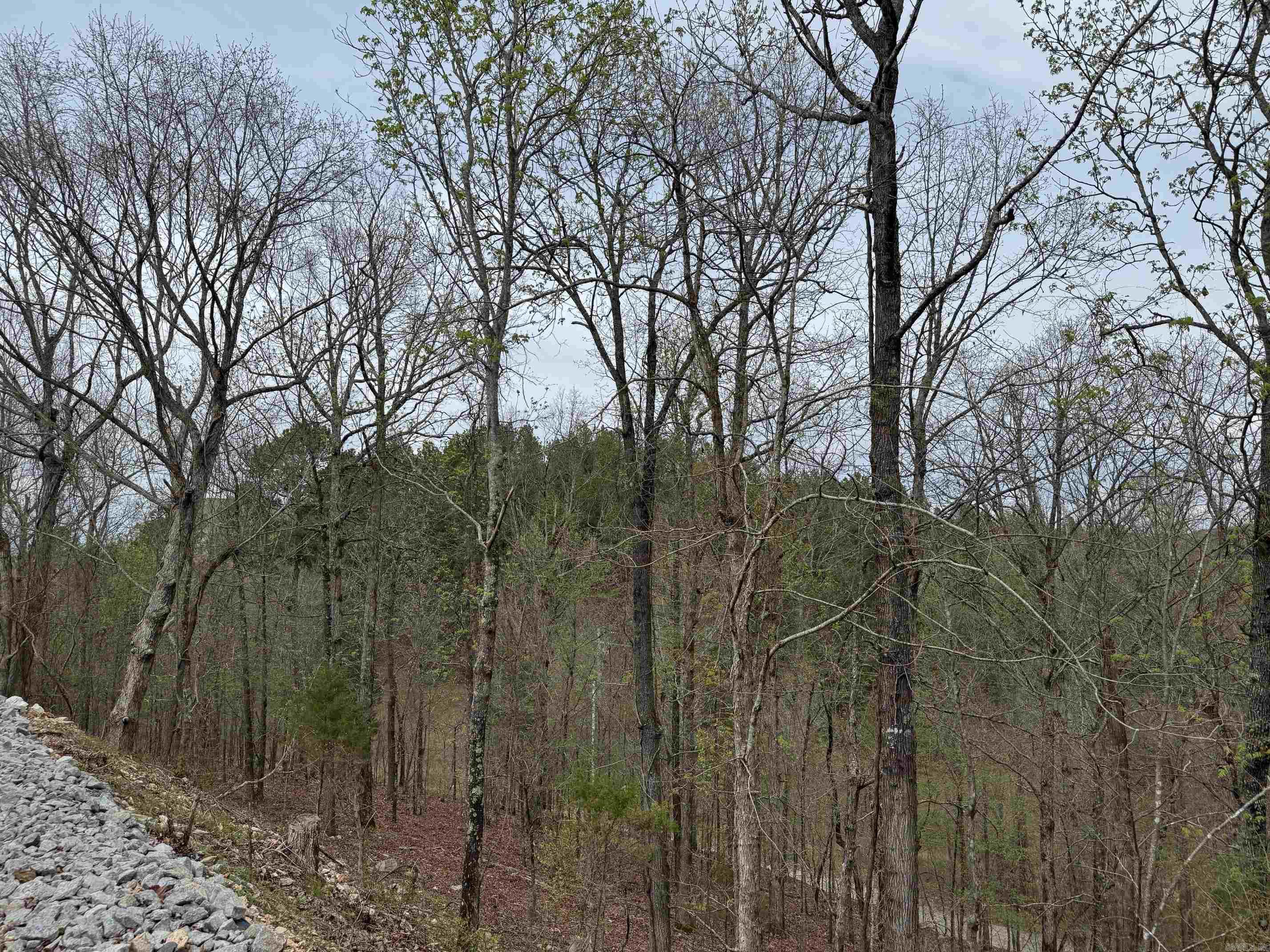 7 MORENO WAY  Hot Springs Village, AR