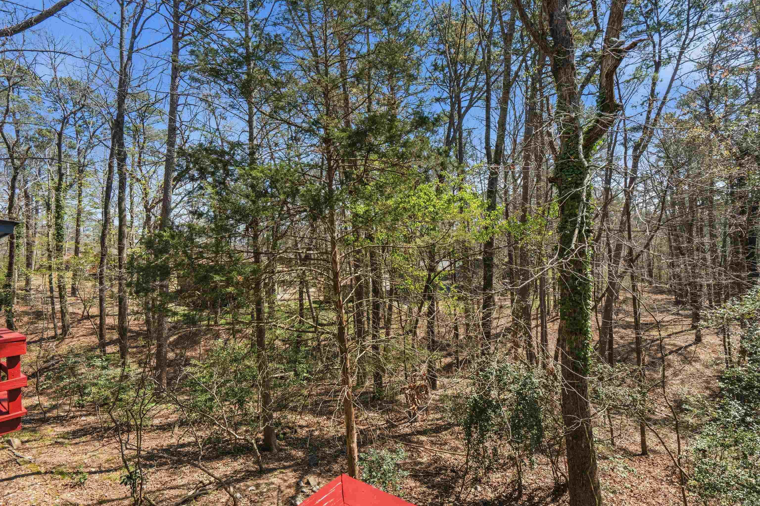 11 Ona  Hot Springs Village, AR