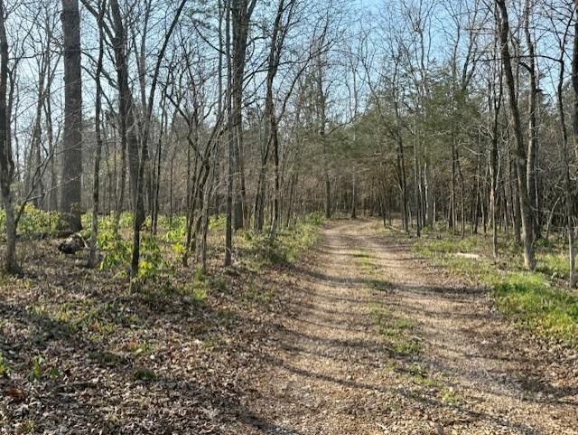 276 Bee Run  Hardy, AR