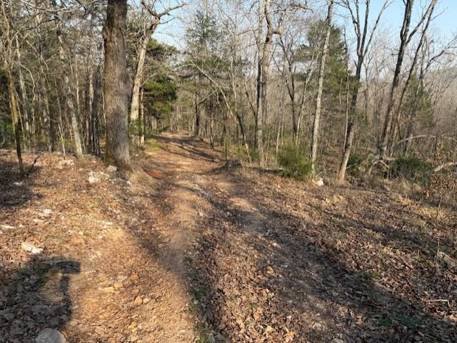 276 Bee Run  Hardy, AR