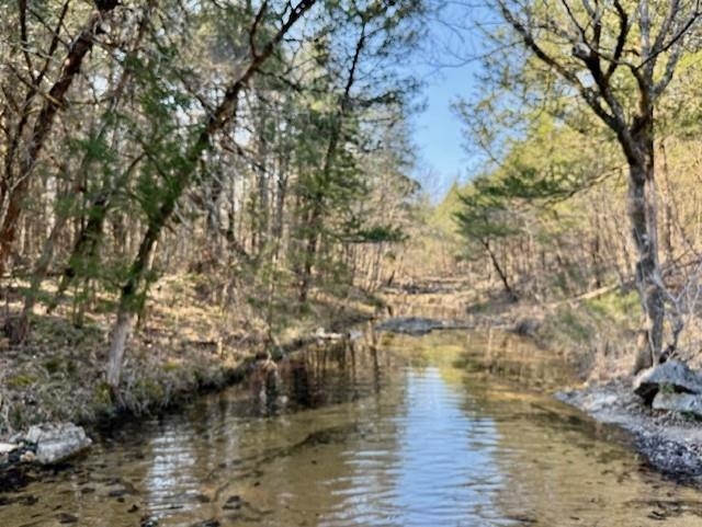 276 Bee Run  Hardy, AR