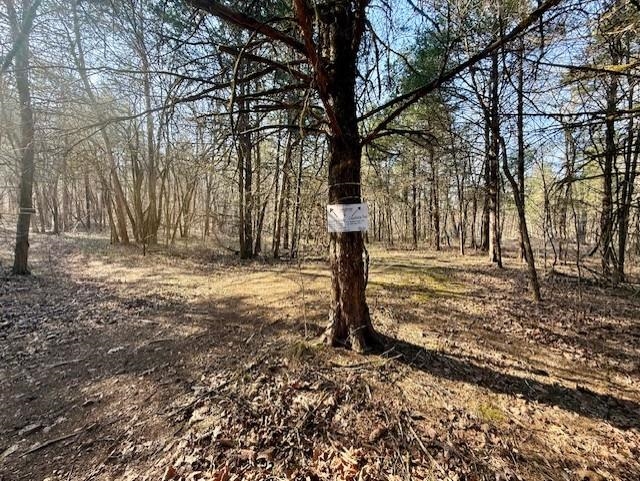 276 Bee Run  Hardy, AR