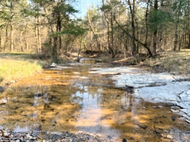 276 Bee Run  Hardy, AR