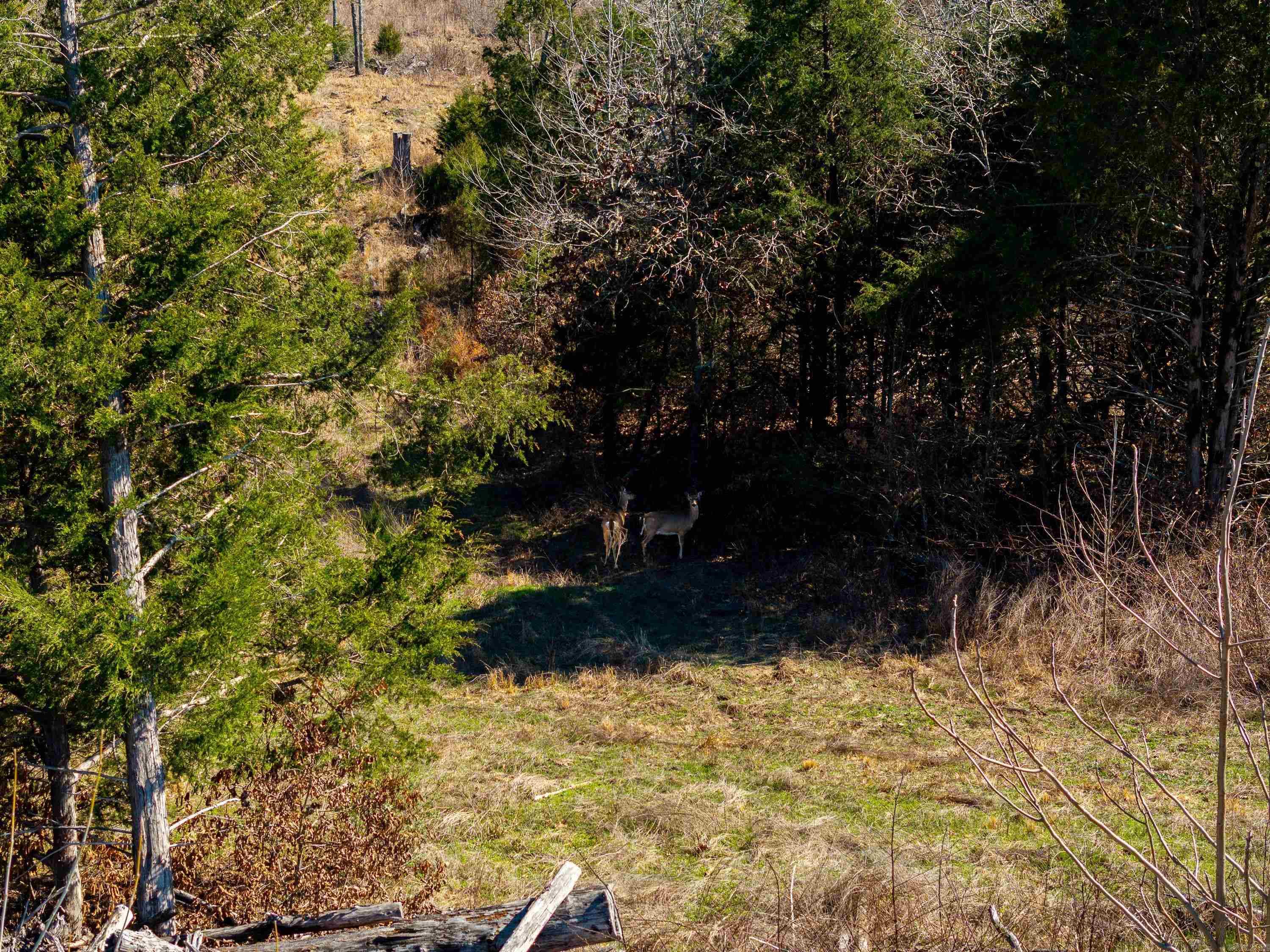  Green Valley Rd  Viola, AR