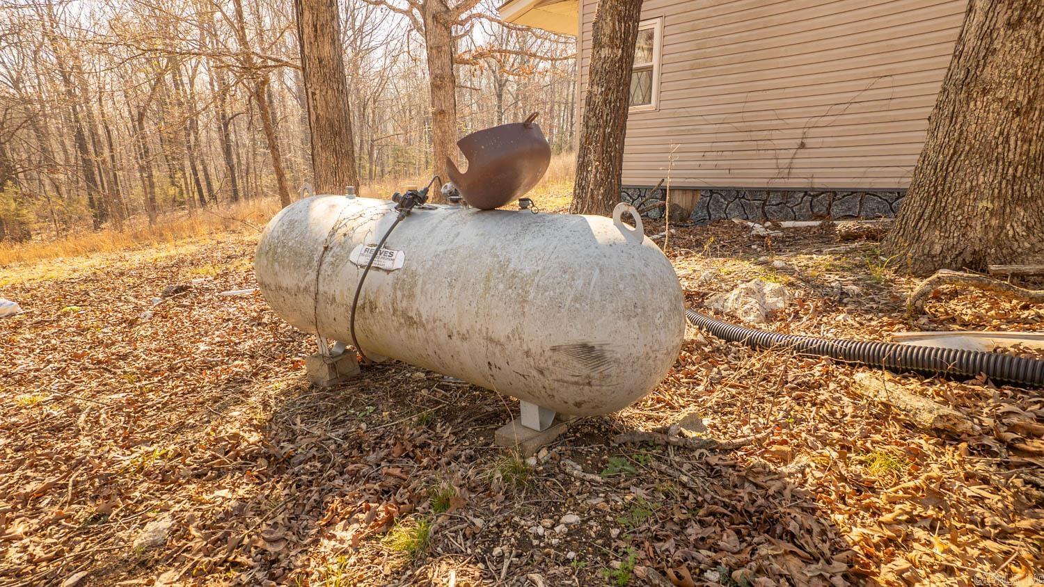 8125 Heart Road  Mammoth Spring, AR