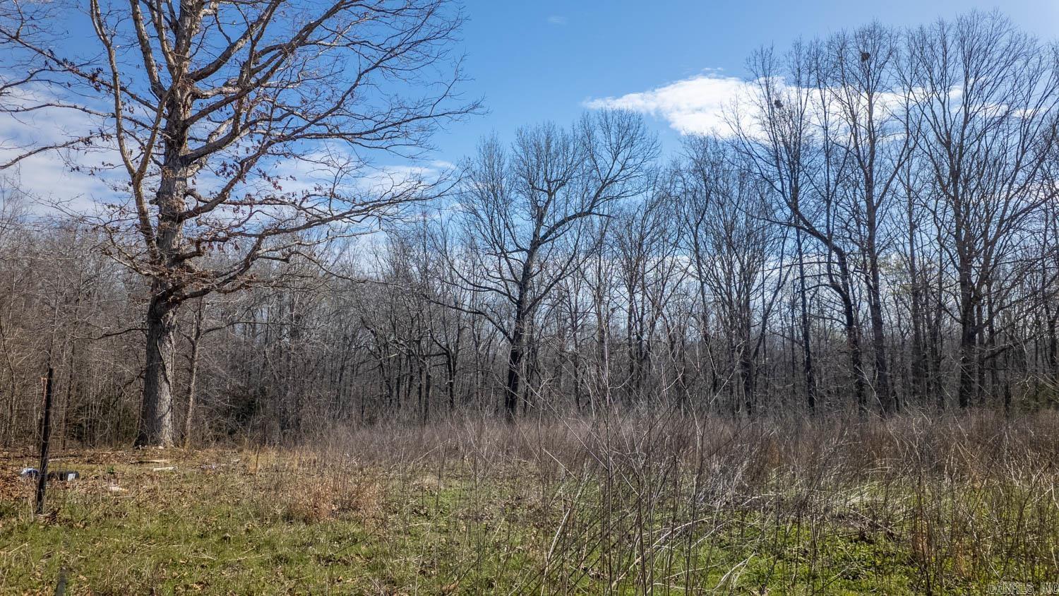 8125 Heart Road  Mammoth Spring, AR