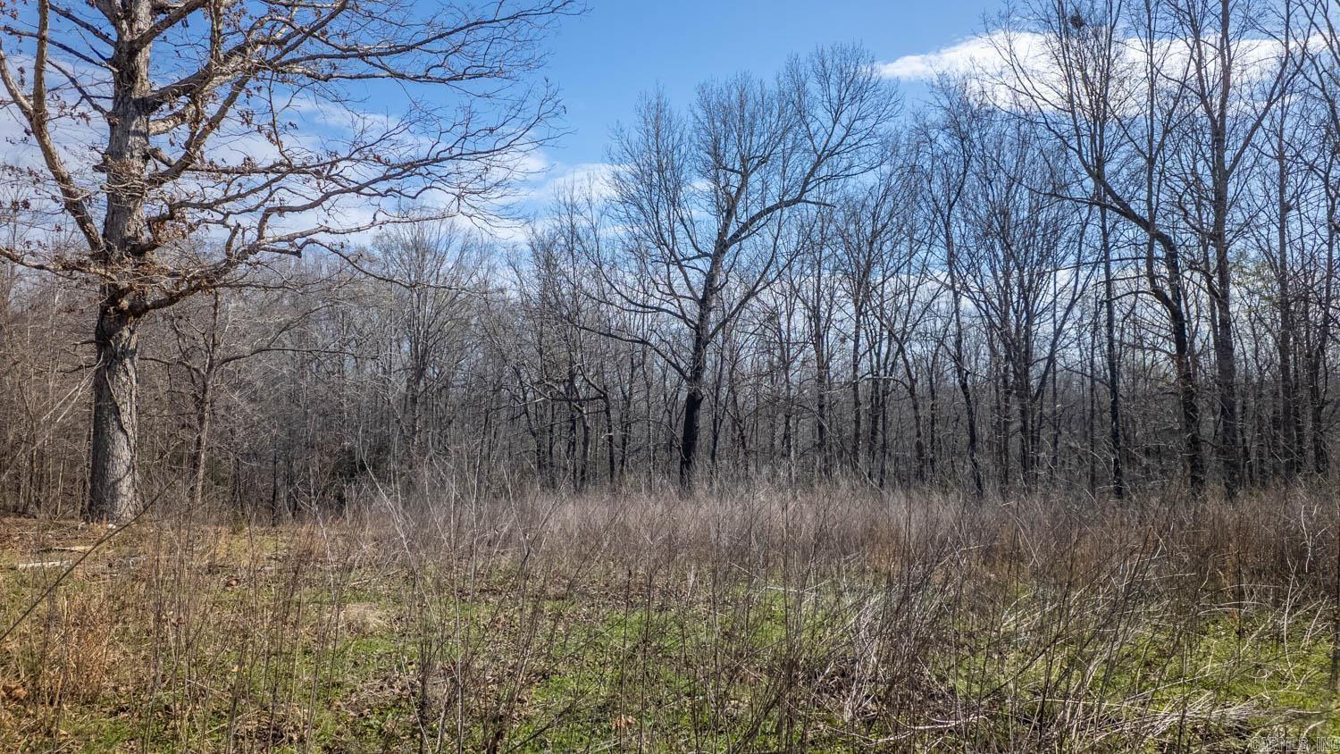 8125 Heart Road  Mammoth Spring, AR