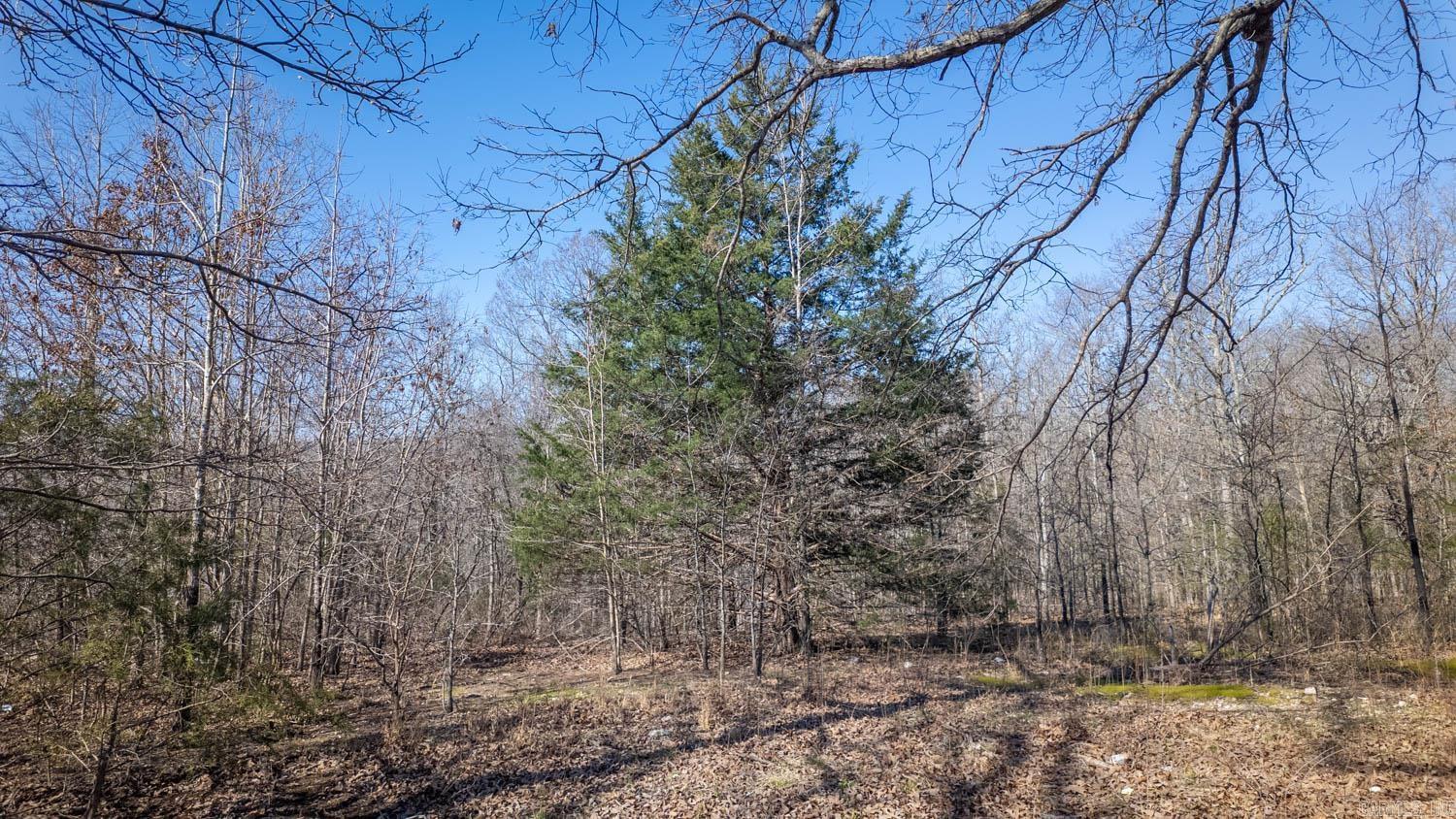 8125 Heart Road  Mammoth Spring, AR