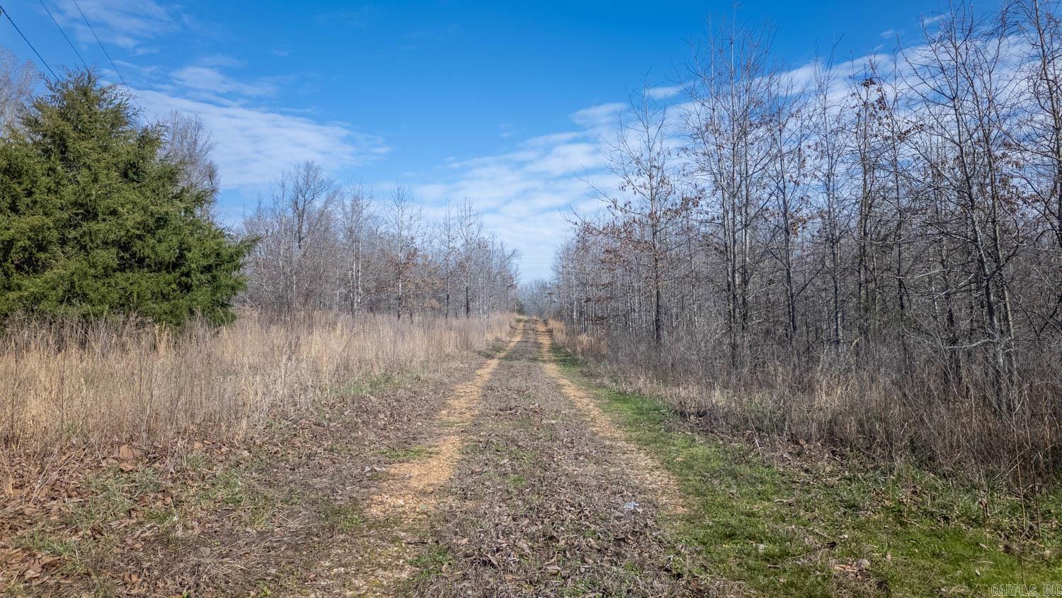 8125 Heart Road  Mammoth Spring, AR