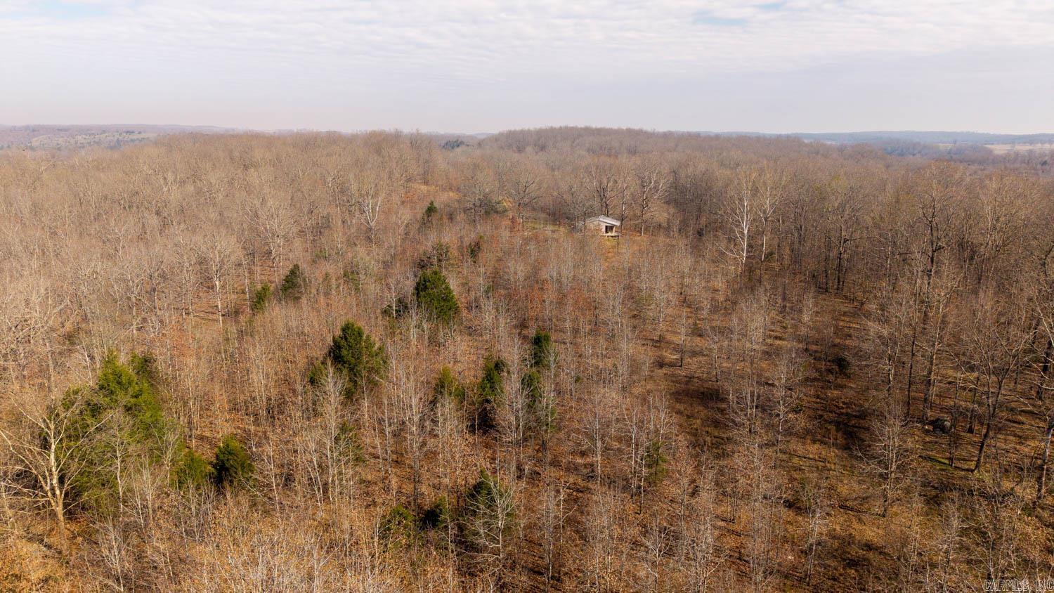 8125 Heart Road  Mammoth Spring, AR