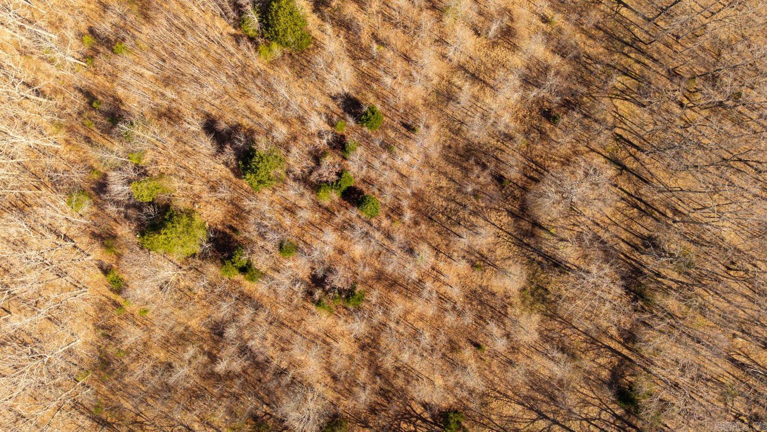 8125 Heart Road  Mammoth Spring, AR