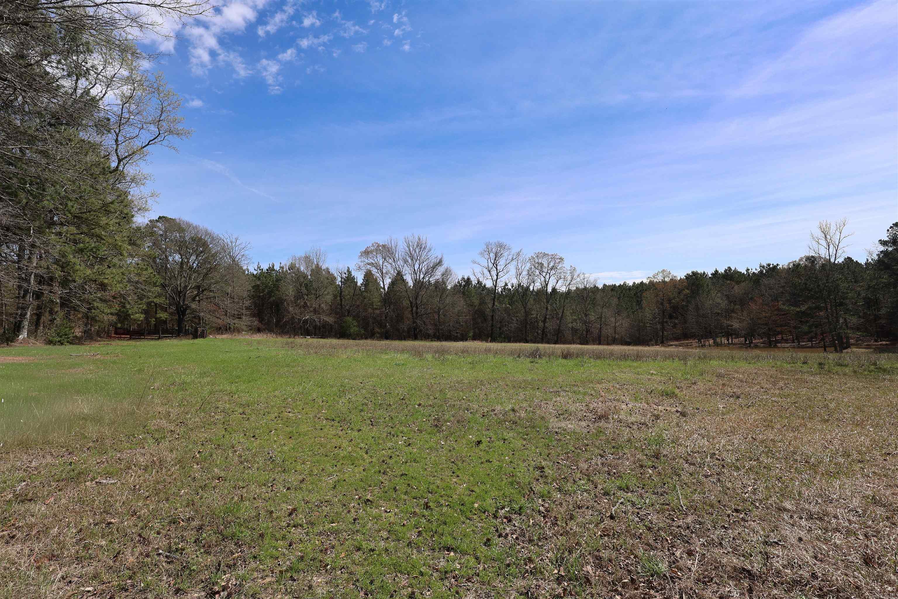 394 Green Plains  Dierks, AR