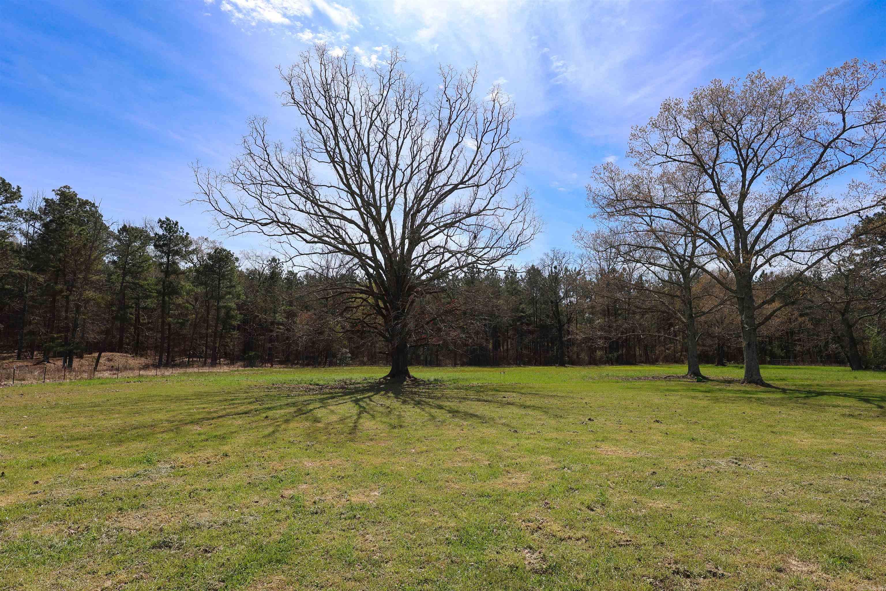 394 Green Plains  Dierks, AR