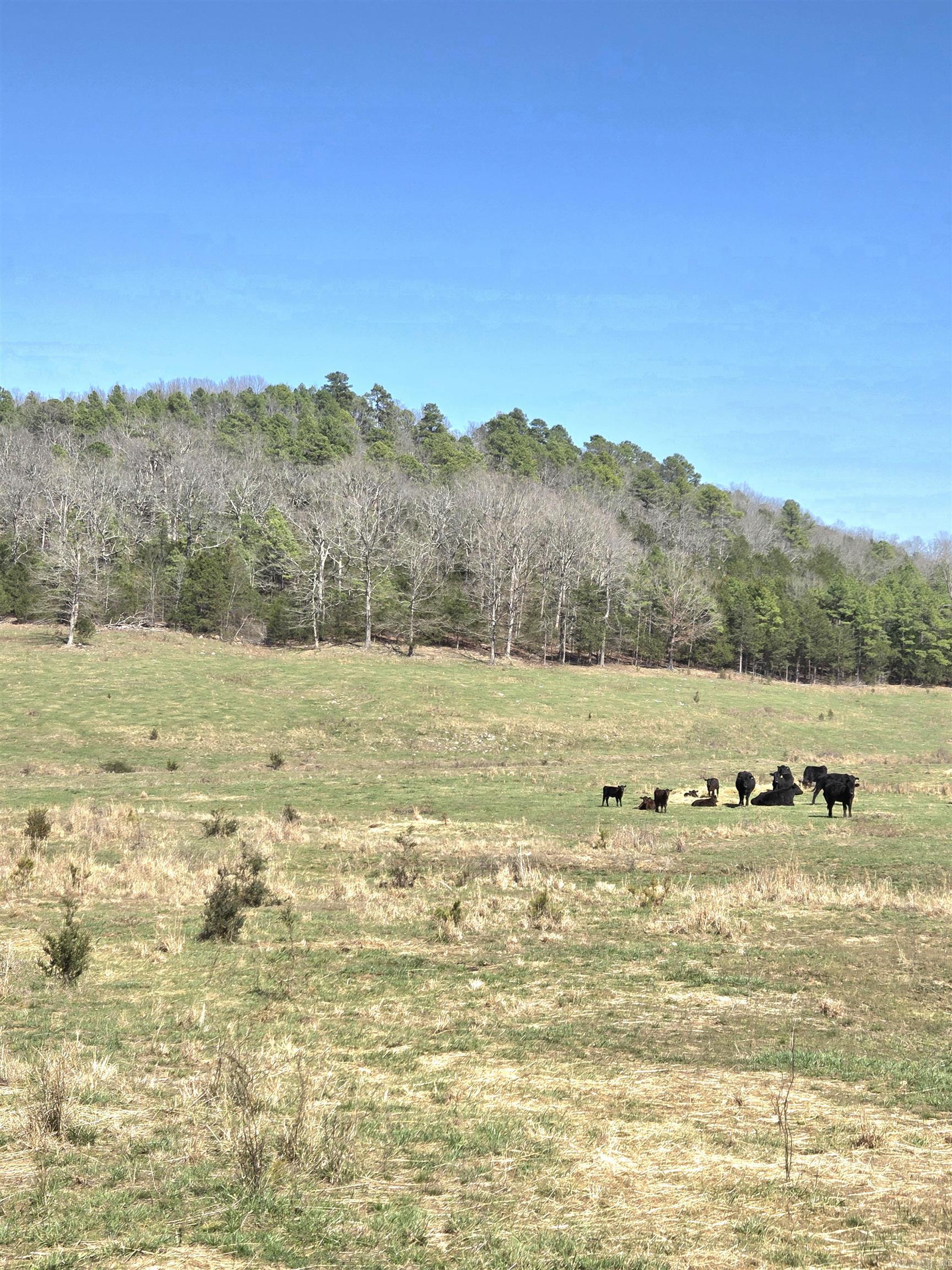 311 Rock Hill  Dolph, AR