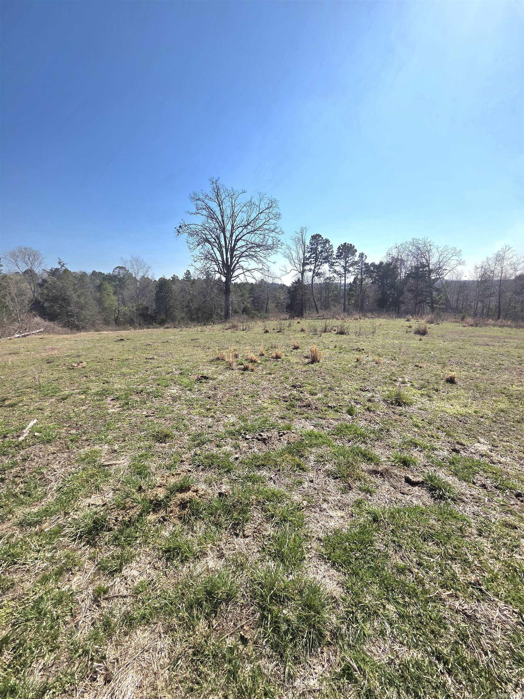 311 Rock Hill  Dolph, AR