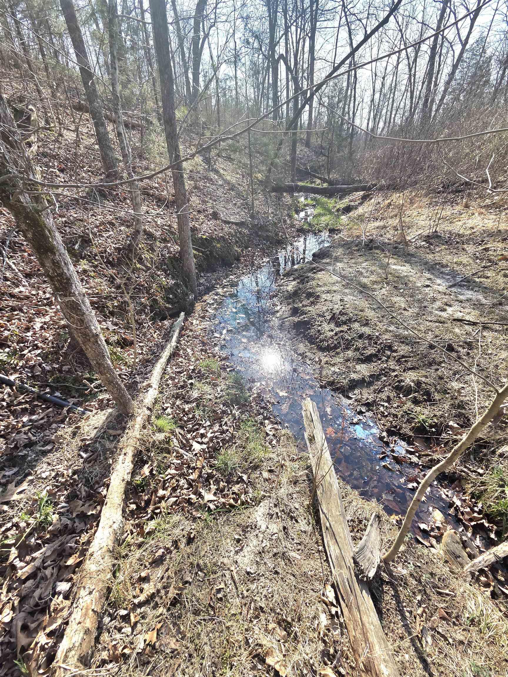 311 Rock Hill  Dolph, AR