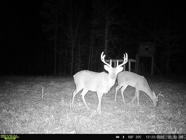 311 Rock Hill  Dolph, AR