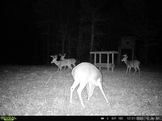 311 Rock Hill  Dolph, AR