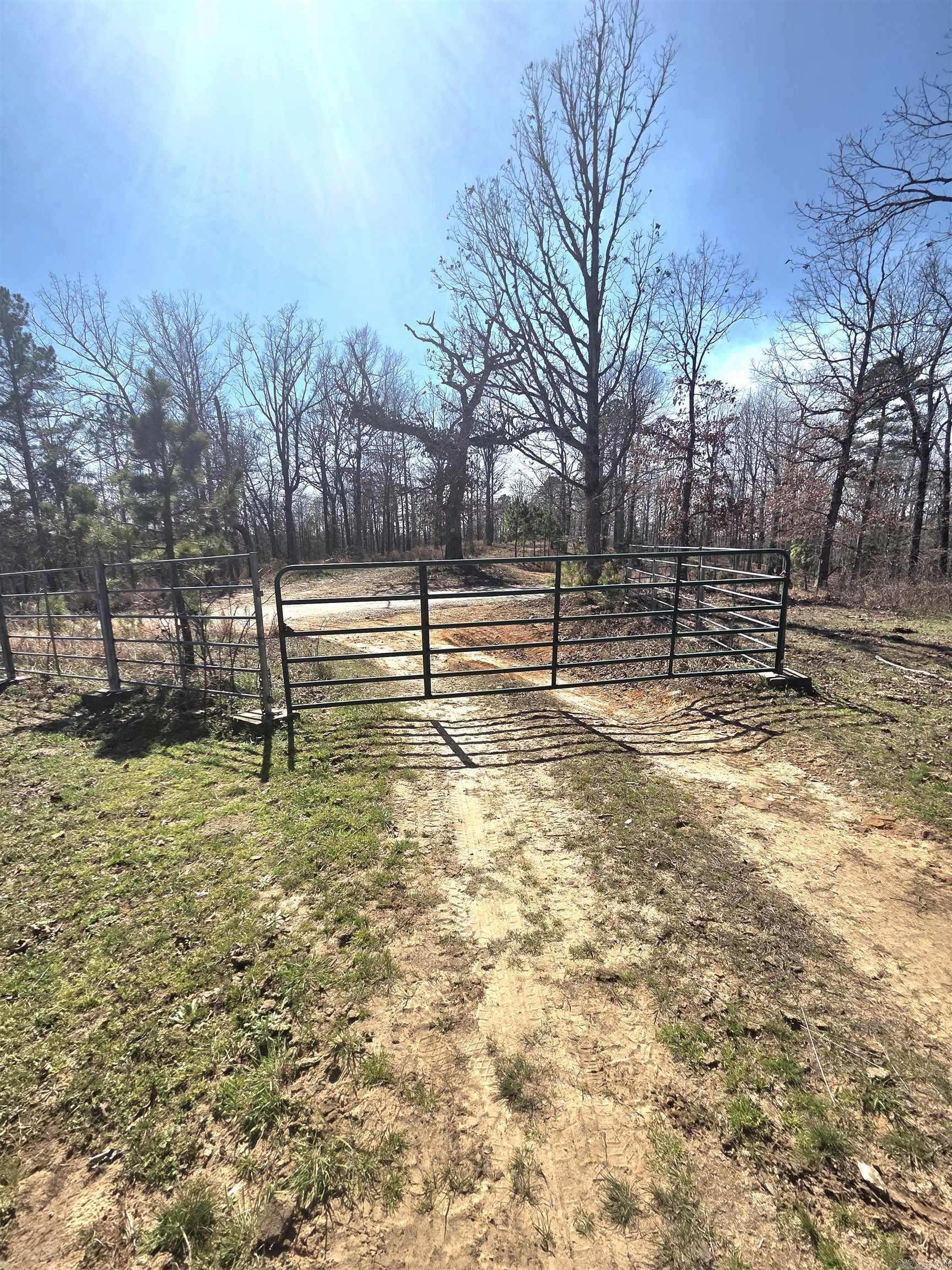 311 Rock Hill  Dolph, AR