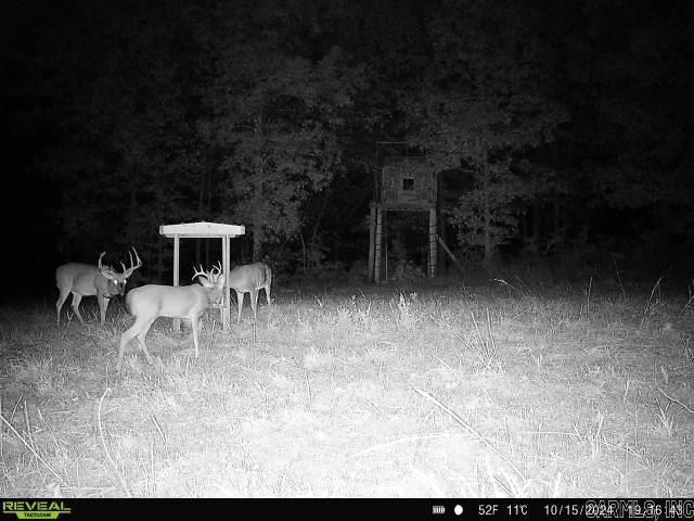 311 Rock Hill  Dolph, AR