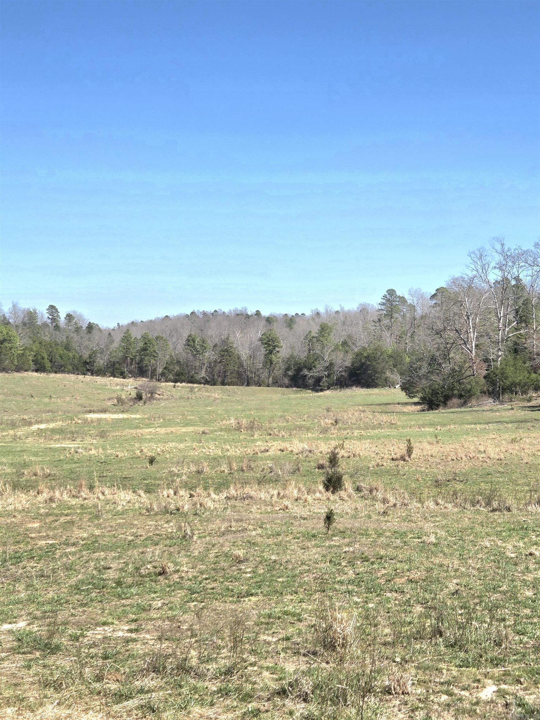 311 Rock Hill  Dolph, AR