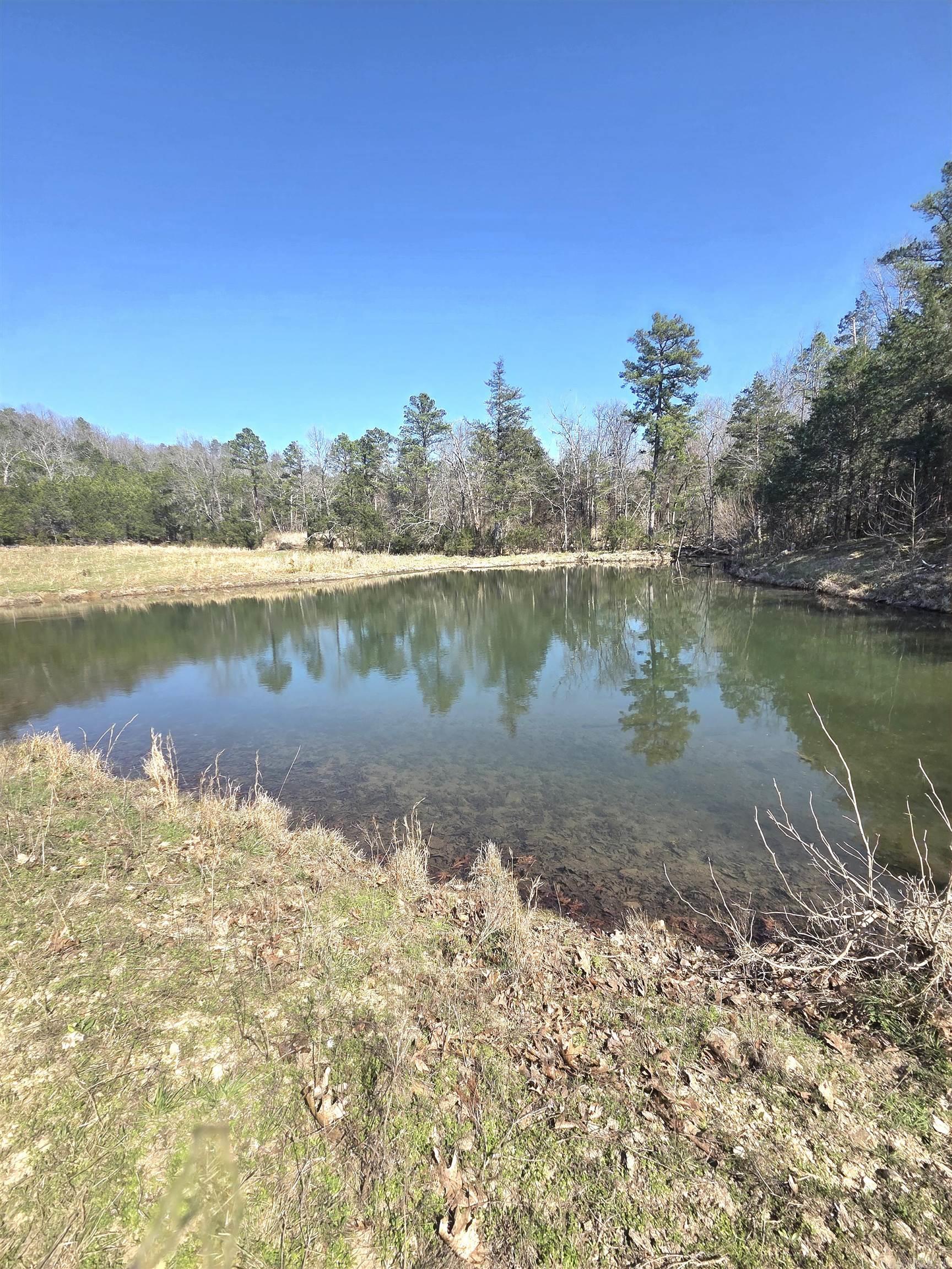 311 Rock Hill  Dolph, AR