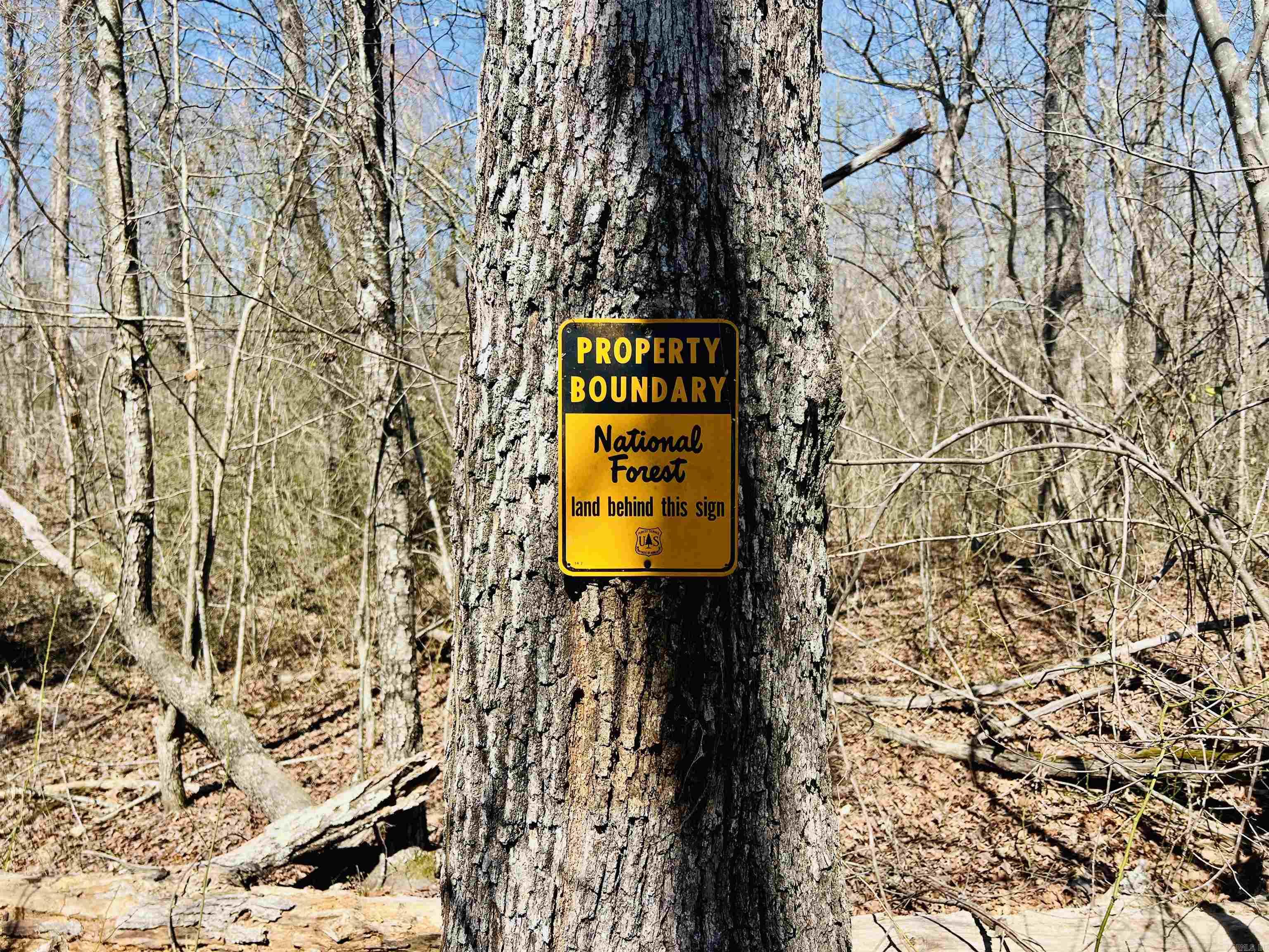  Golden Pond Lane  Witt Springs, AR