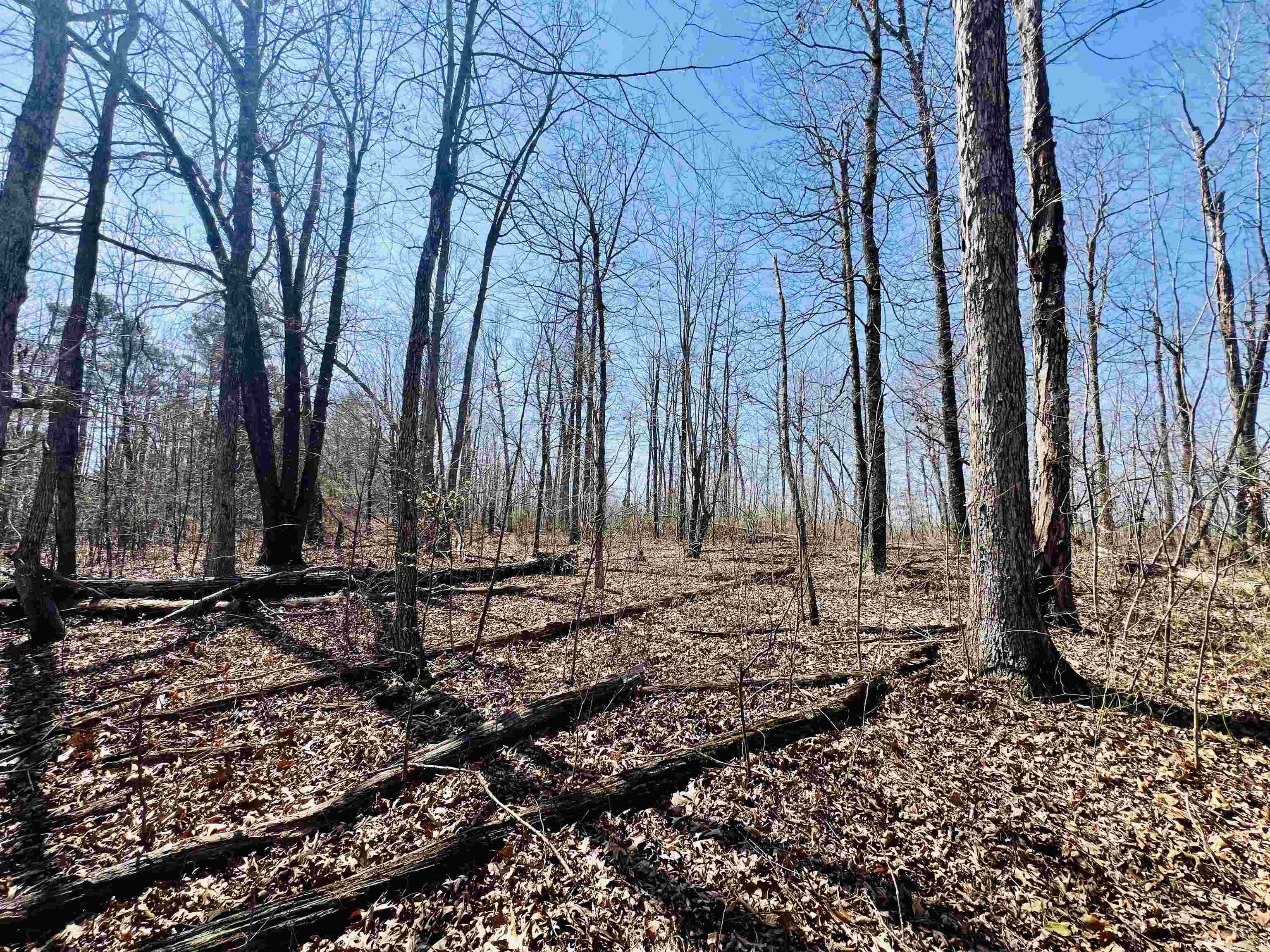  Golden Pond Lane  Witt Springs, AR