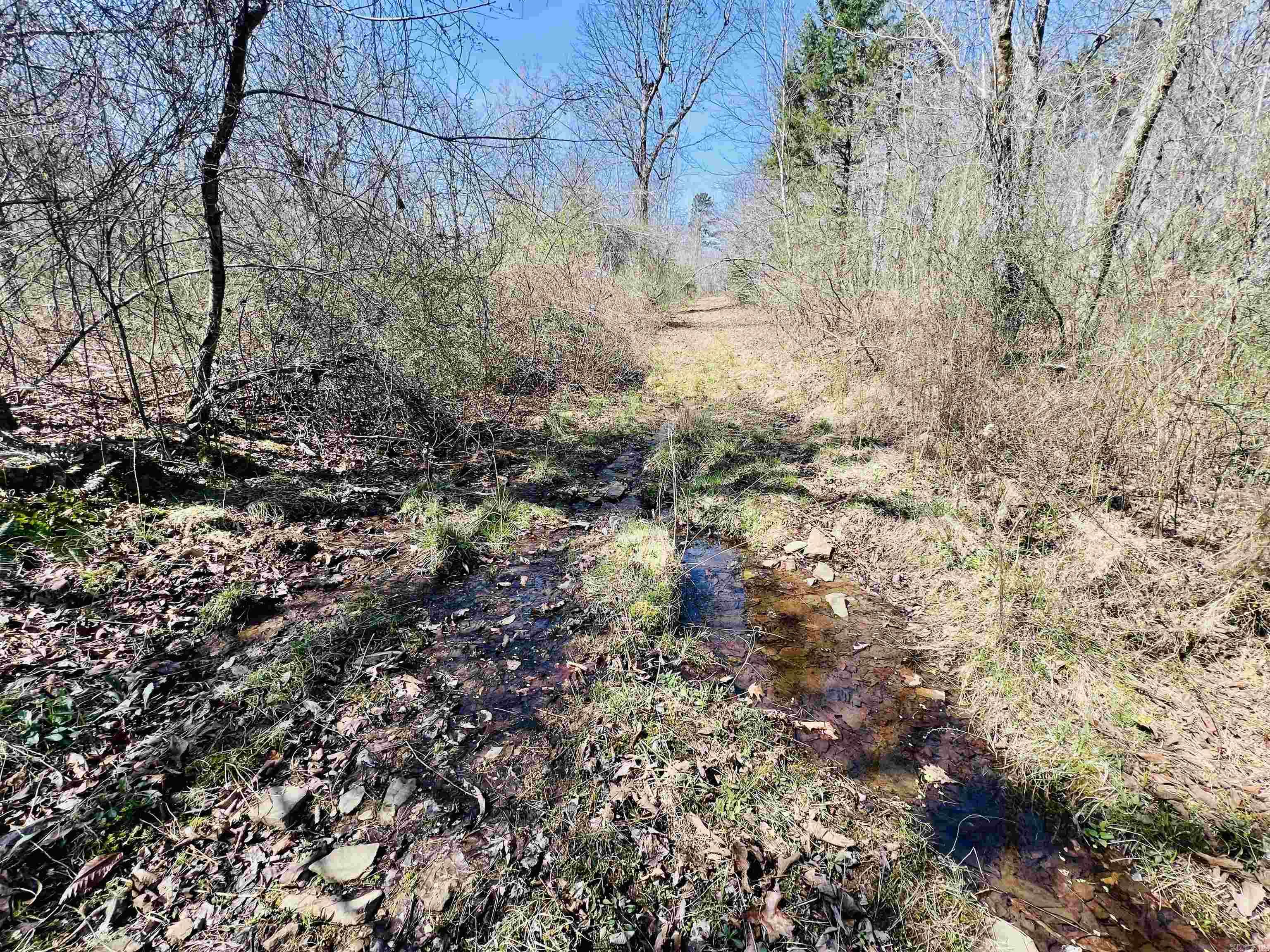  Golden Pond Lane  Witt Springs, AR