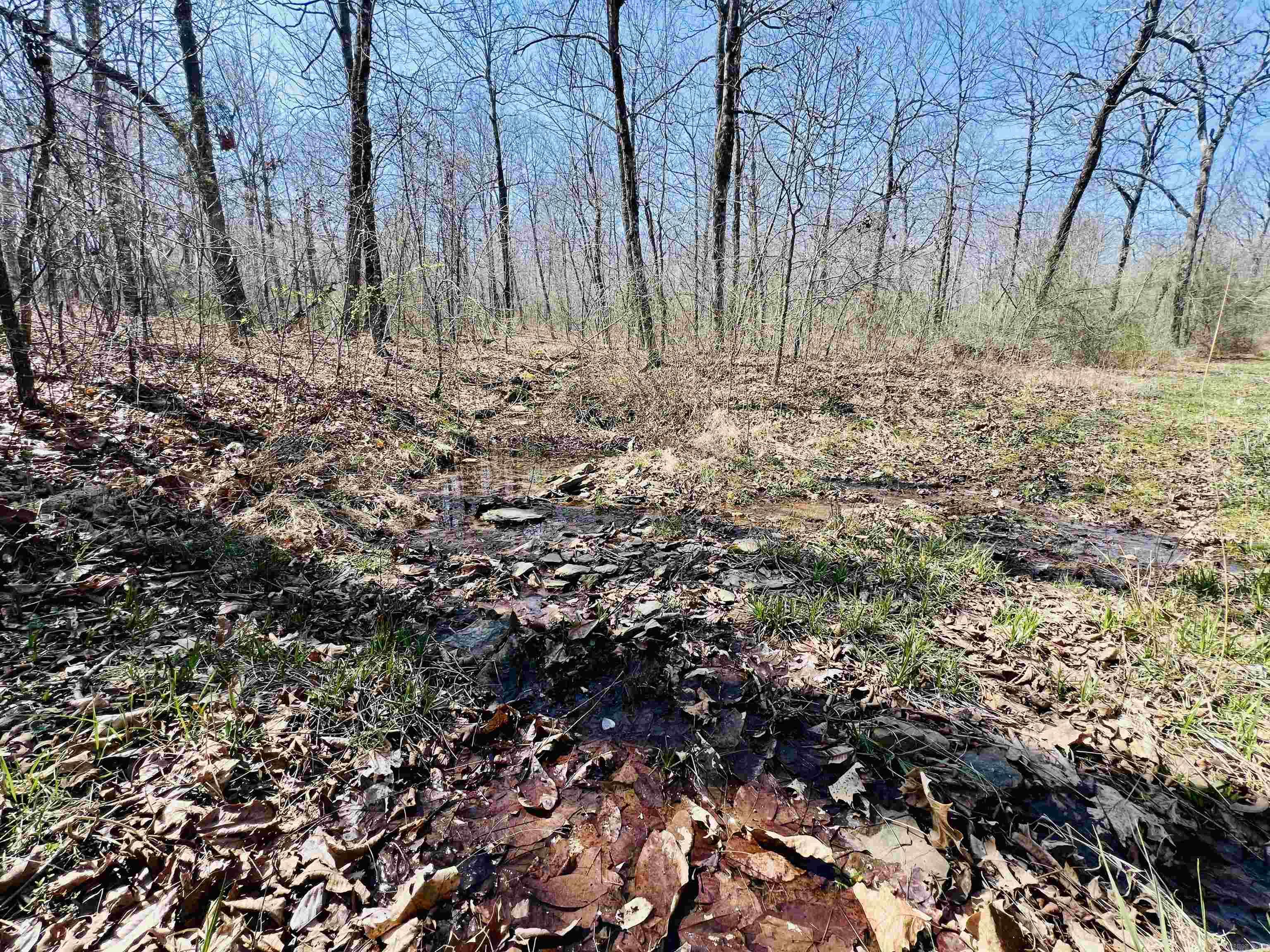  Golden Pond Lane  Witt Springs, AR